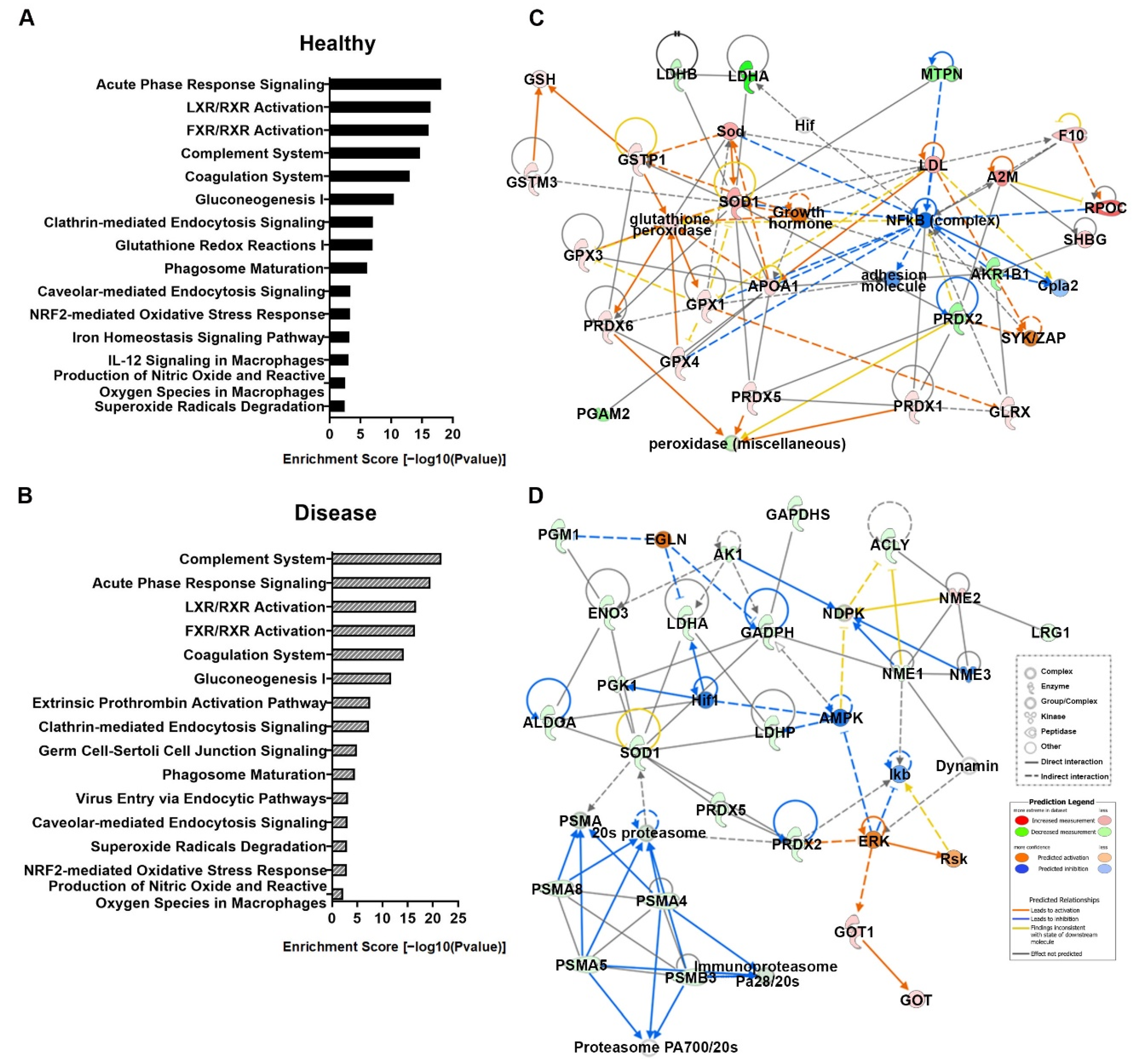 Antioxidants 11 00964 g004