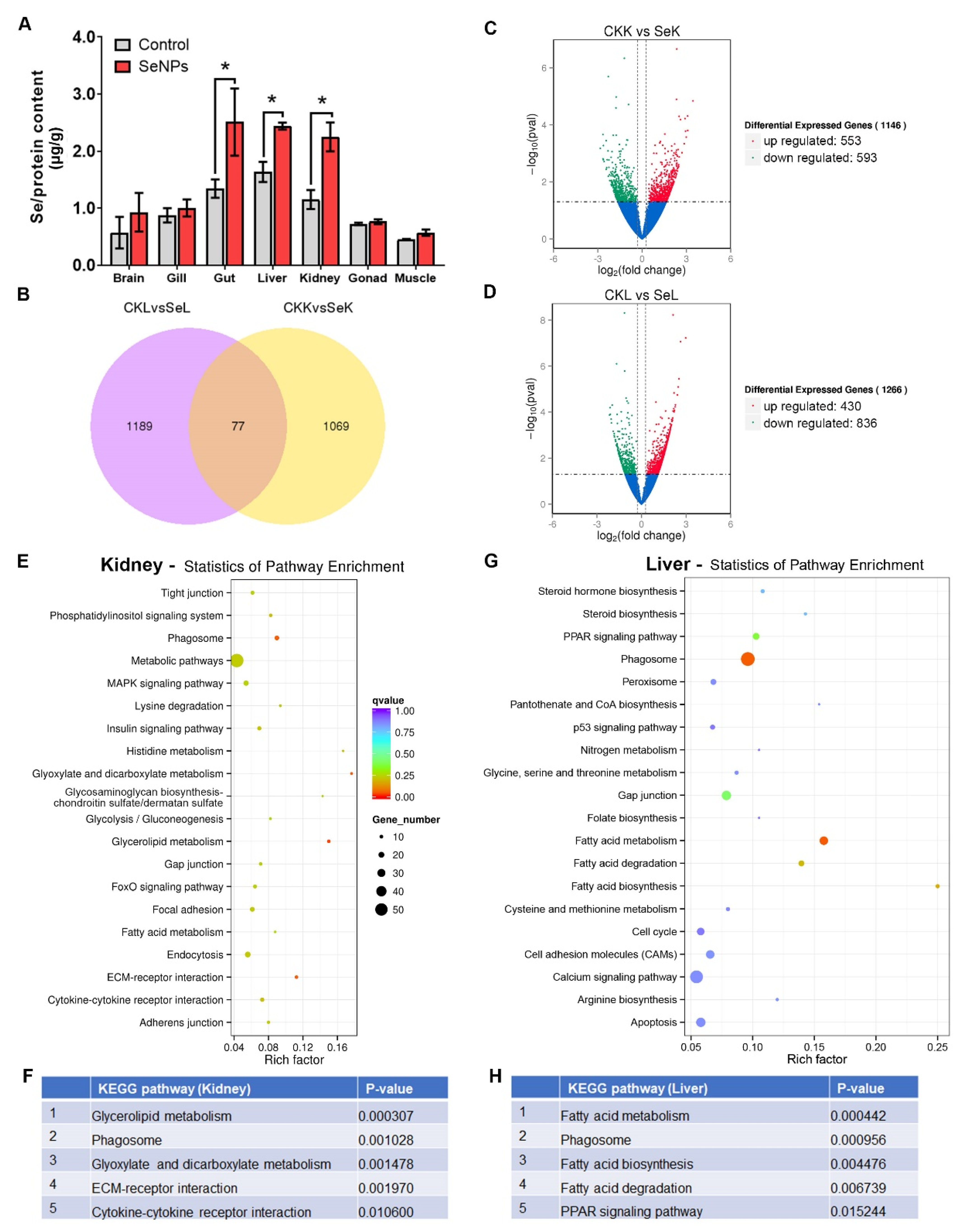 Antioxidants 11 00964 g005