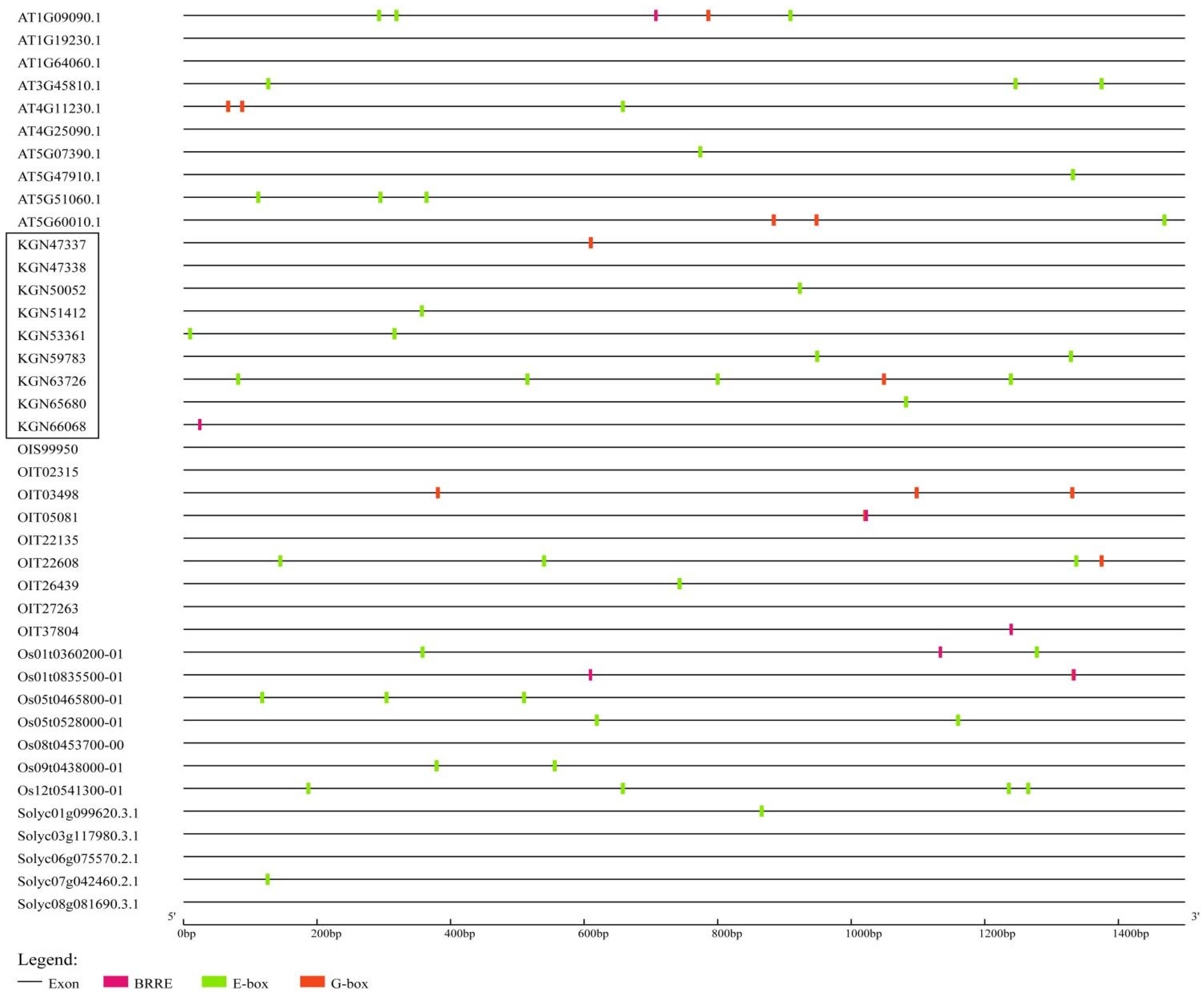 Antioxidants 11 00969 g002