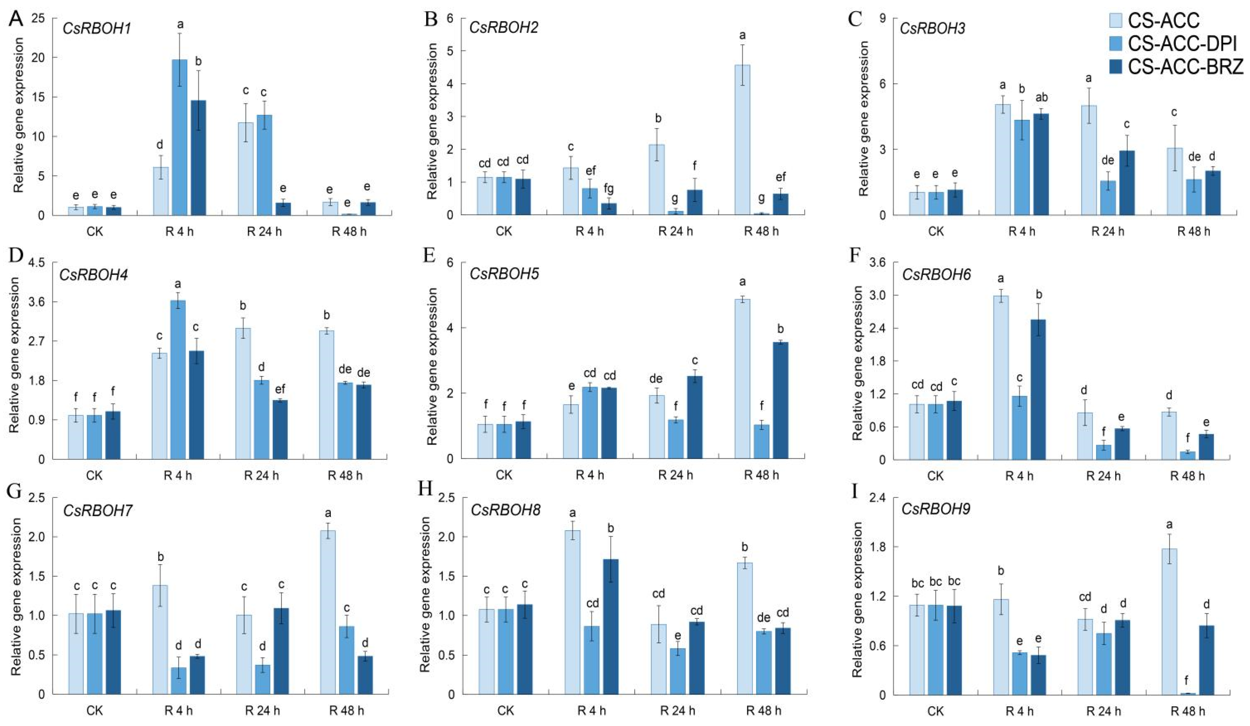 Antioxidants 11 00969 g003