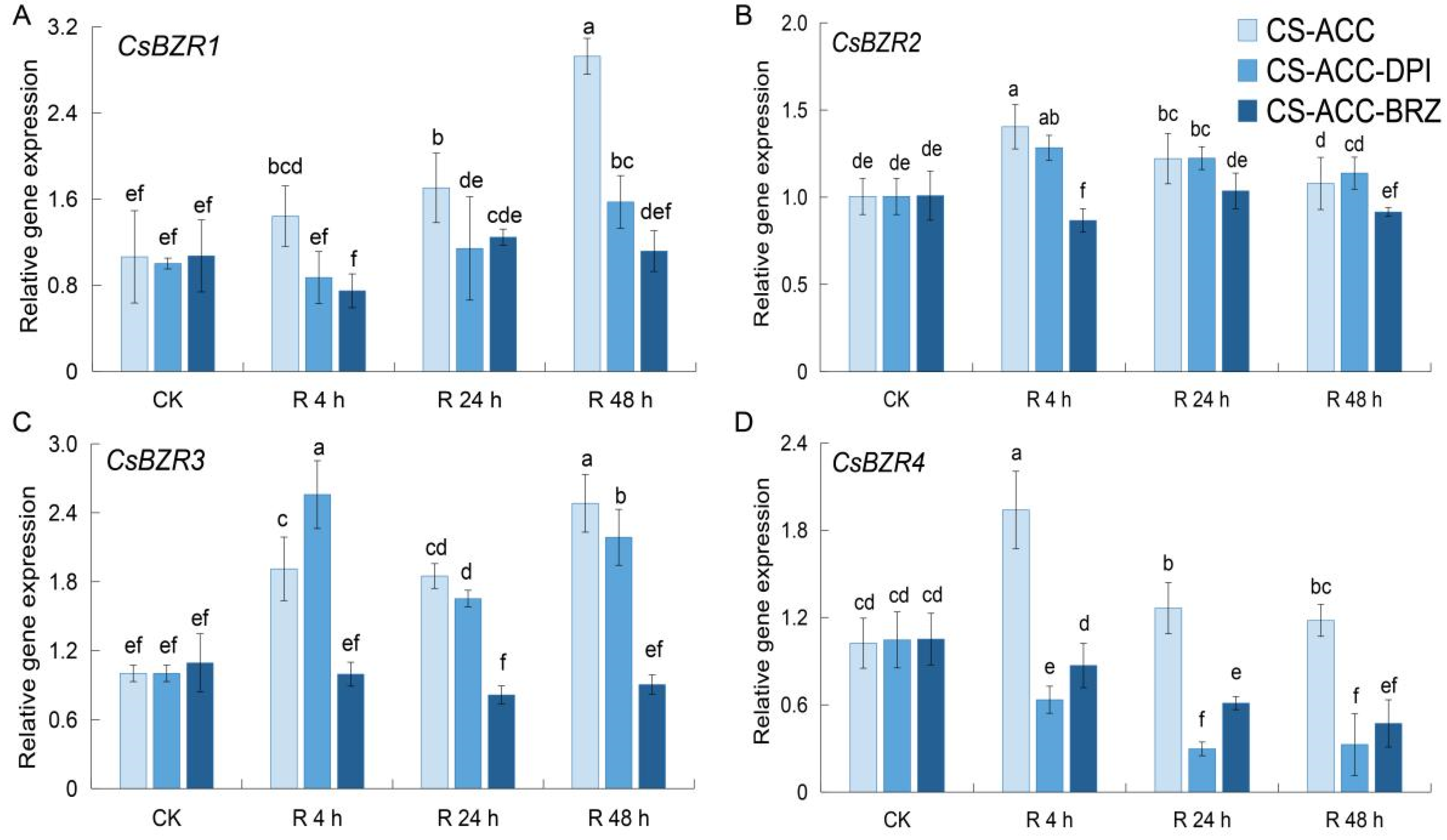 Antioxidants 11 00969 g008