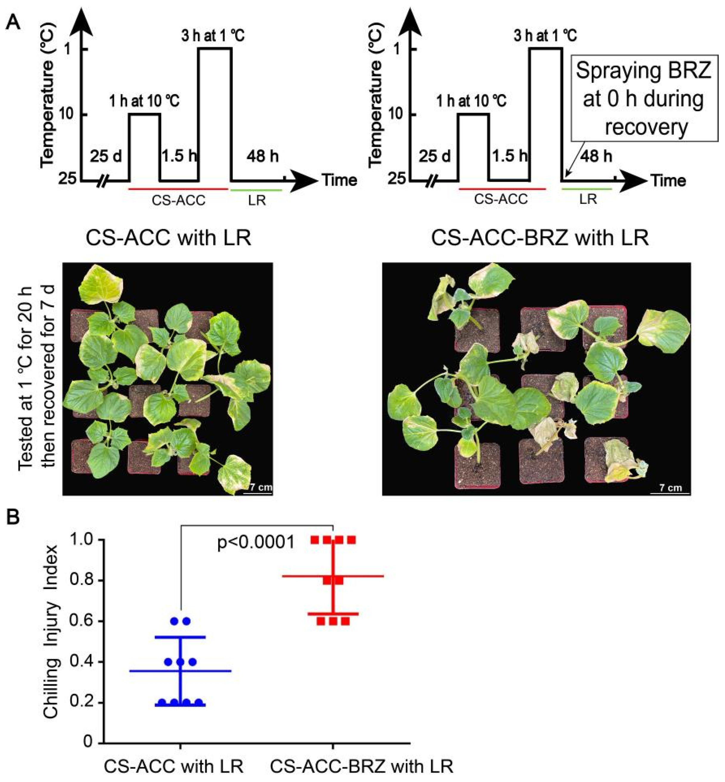 Antioxidants 11 00969 g009
