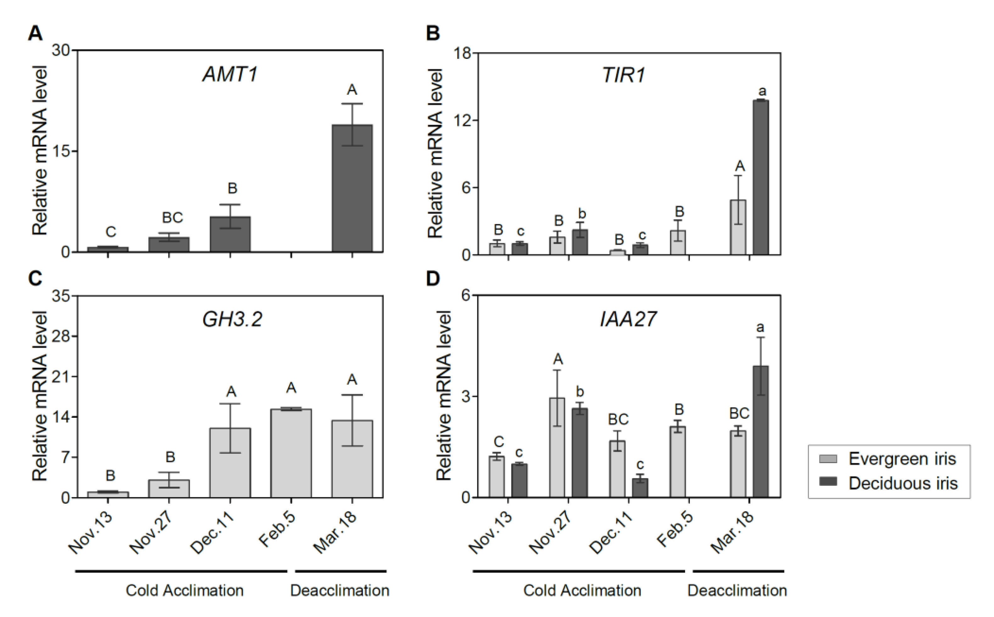Antioxidants 11 00977 g005