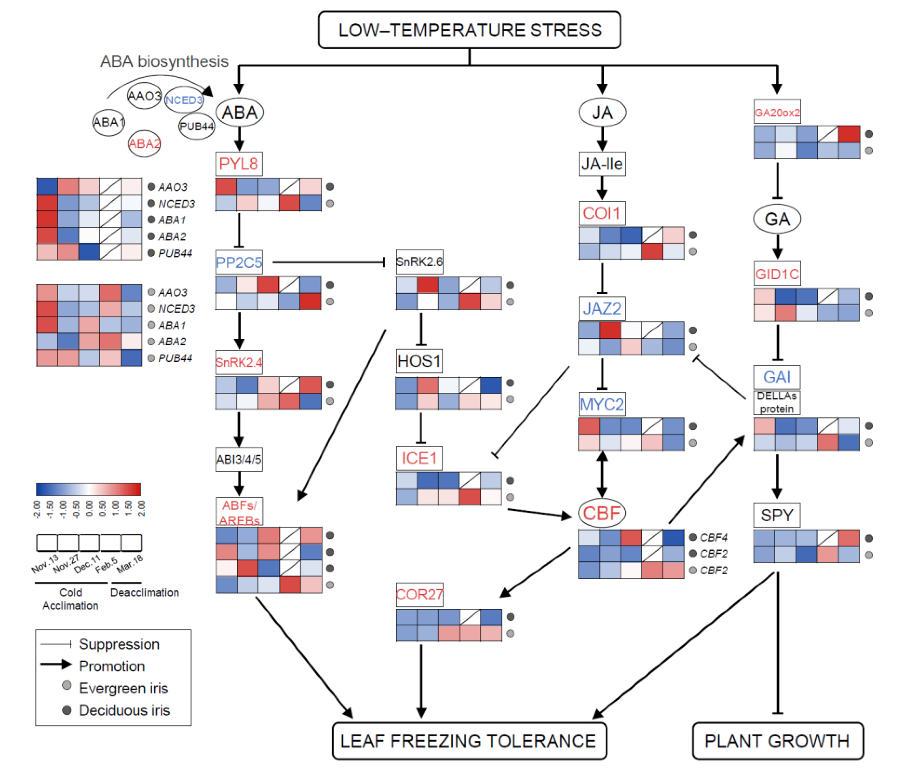 Antioxidants 11 00977 g006
