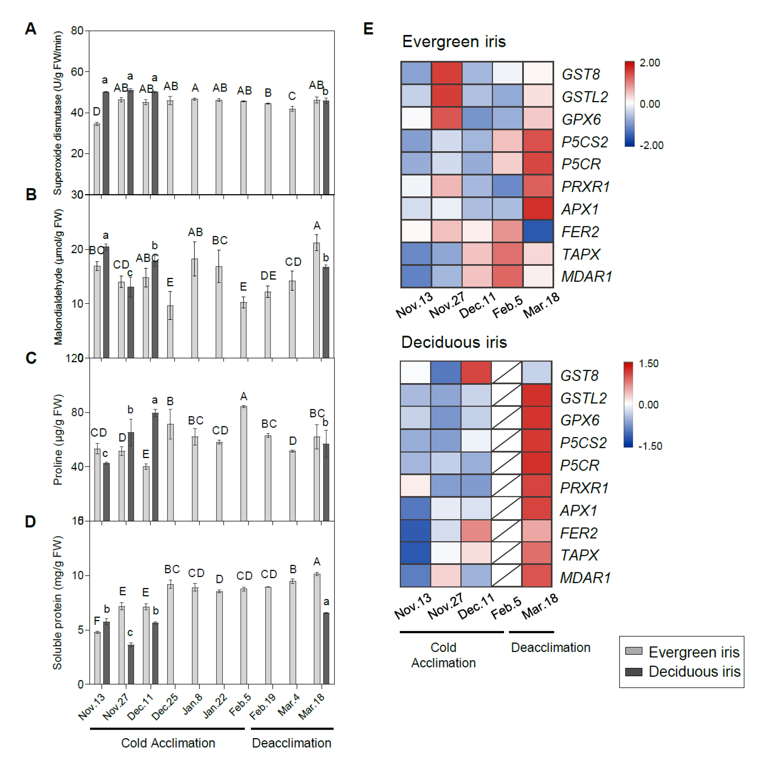 Antioxidants 11 00977 g007