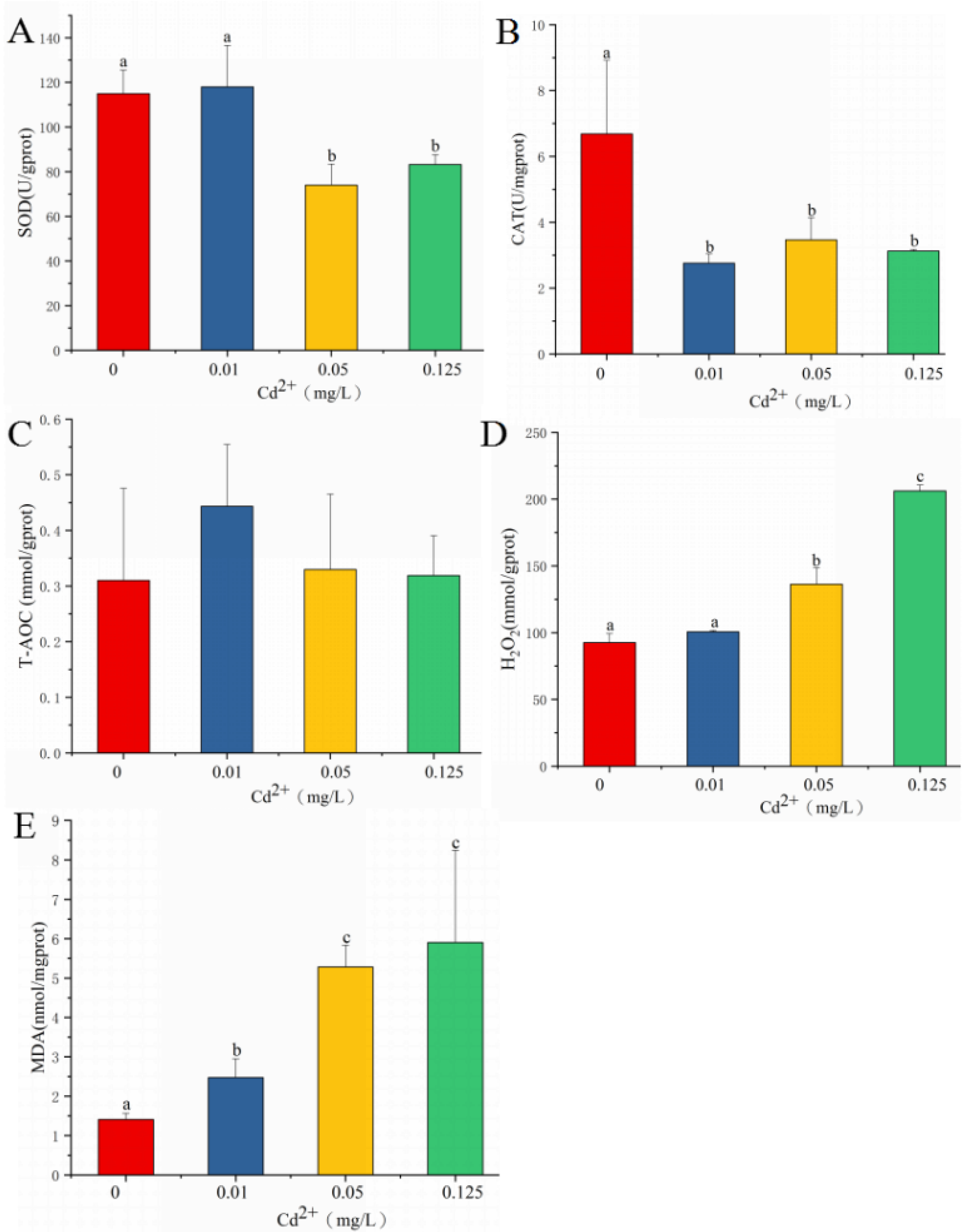 Antioxidants 11 00978 g001 550