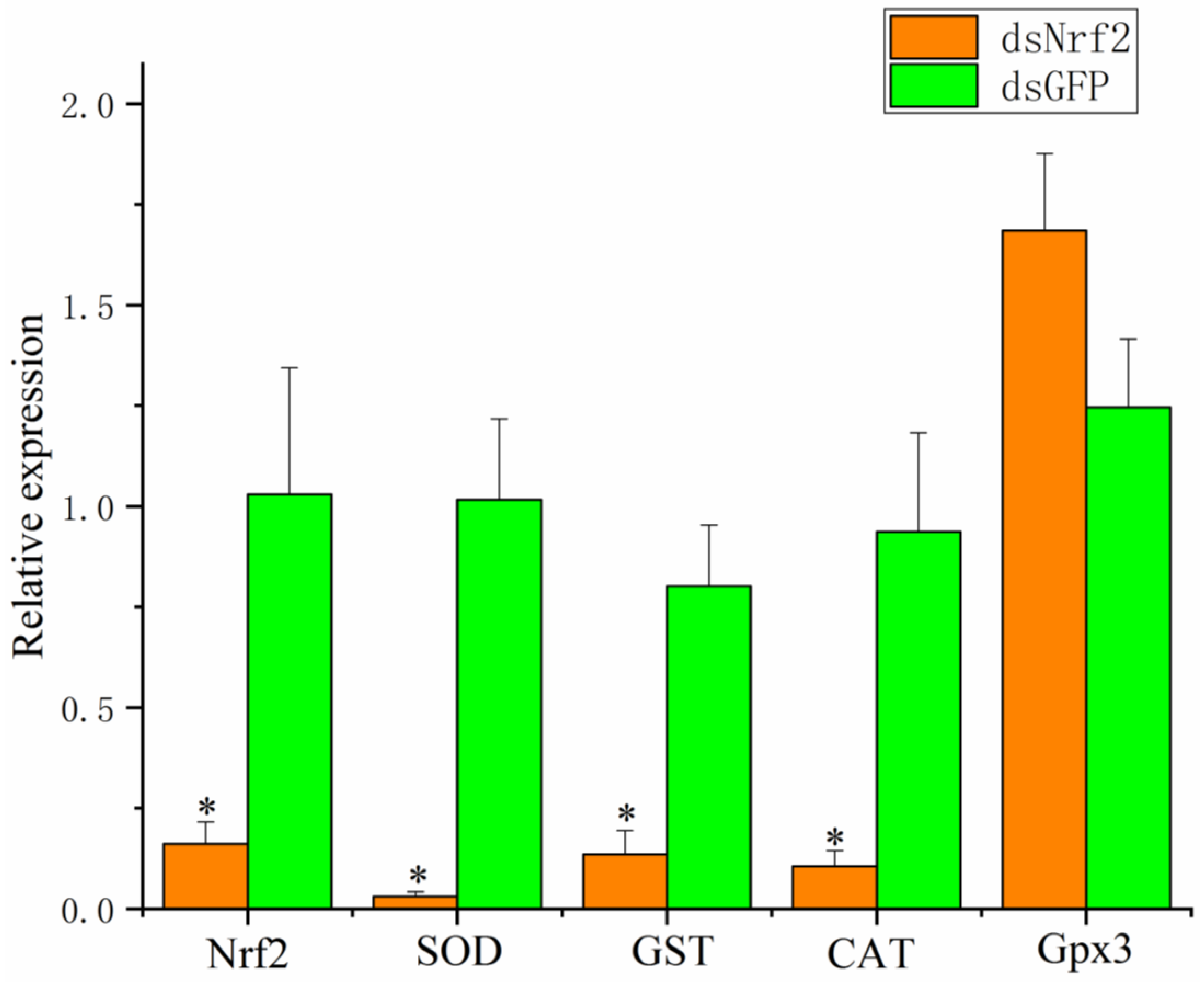Antioxidants 11 00978 g004 550