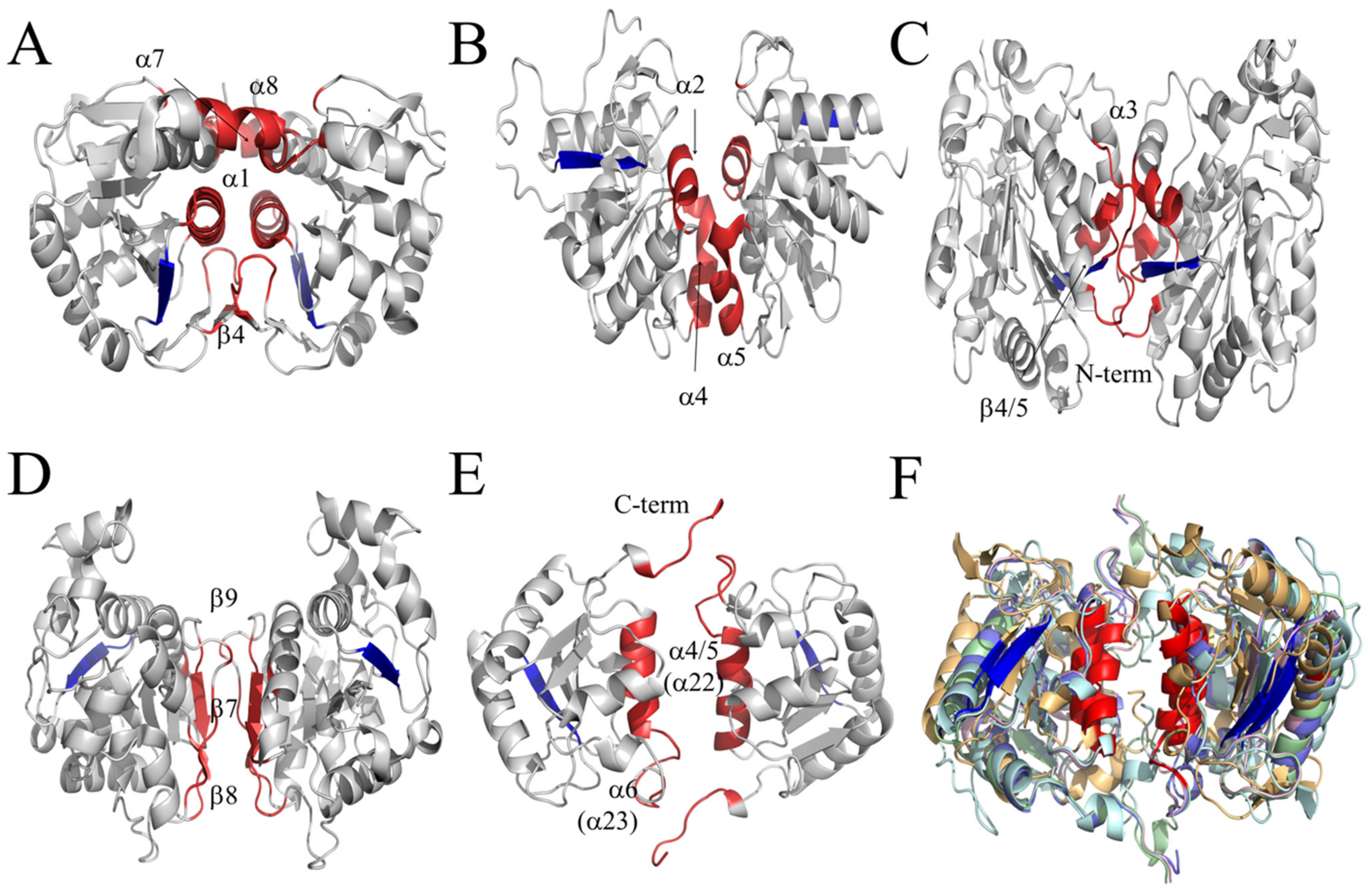 Antioxidants 11 00979 g008