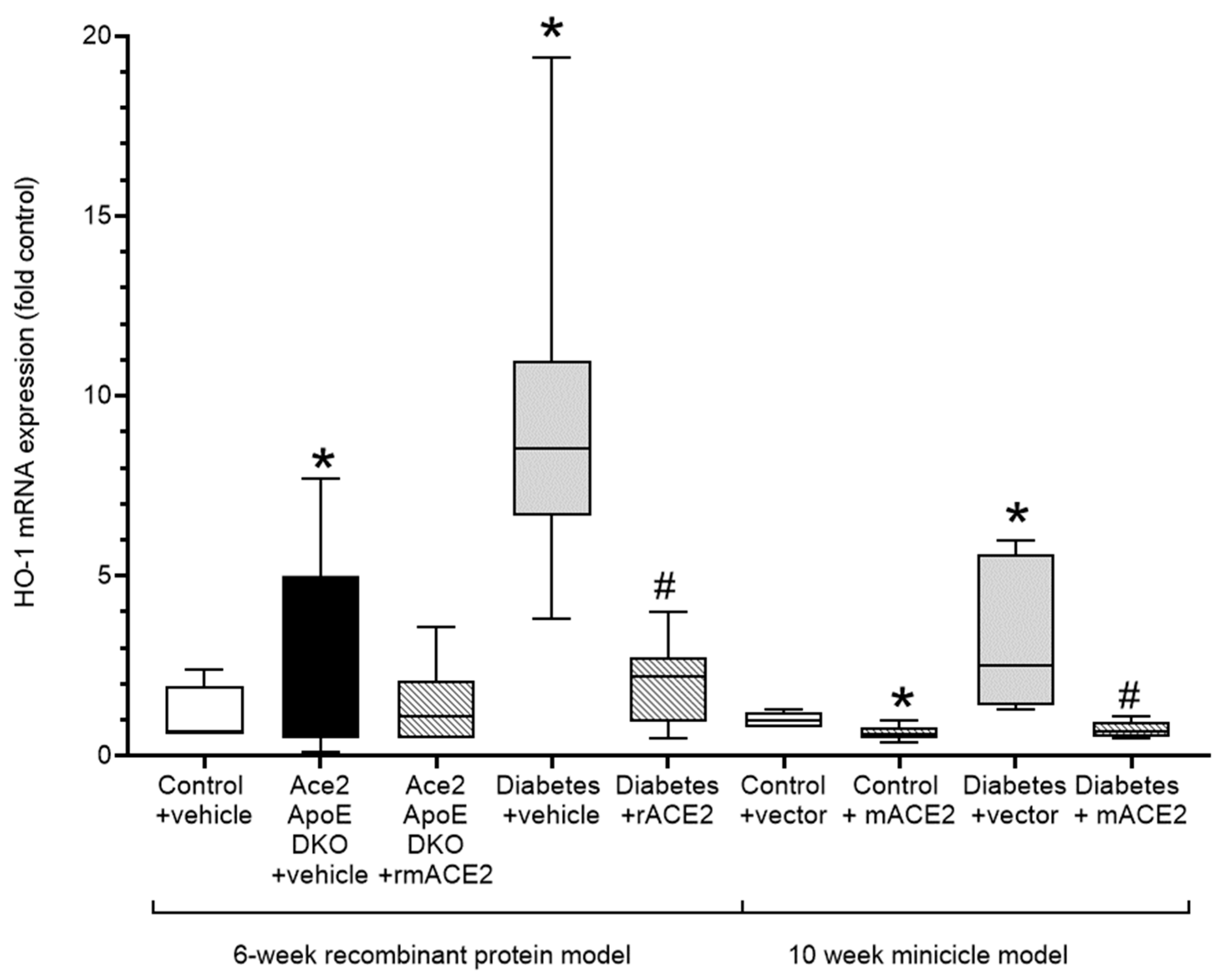 Antioxidants 11 00987 g003