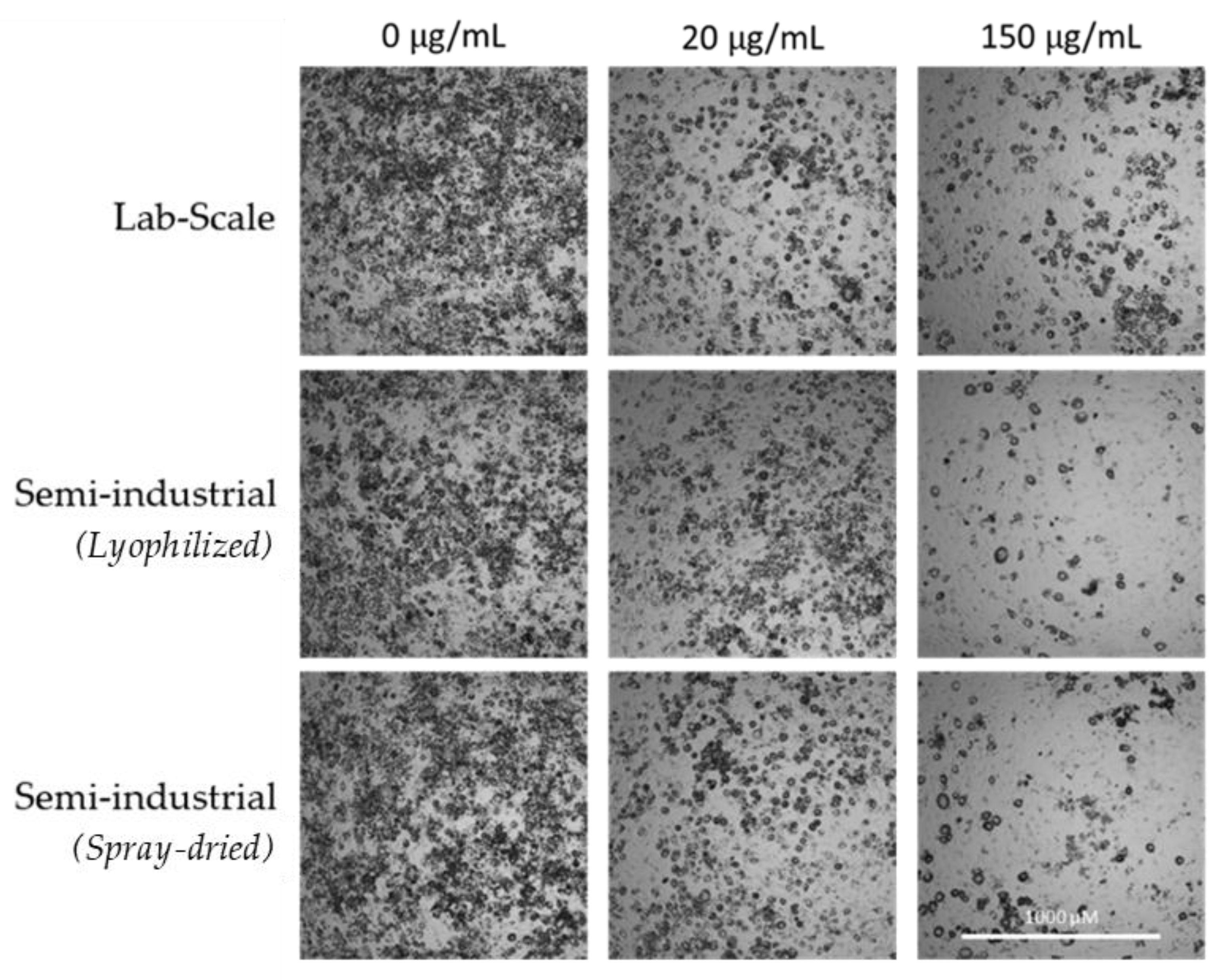 Antioxidants 11 00988 g009 550