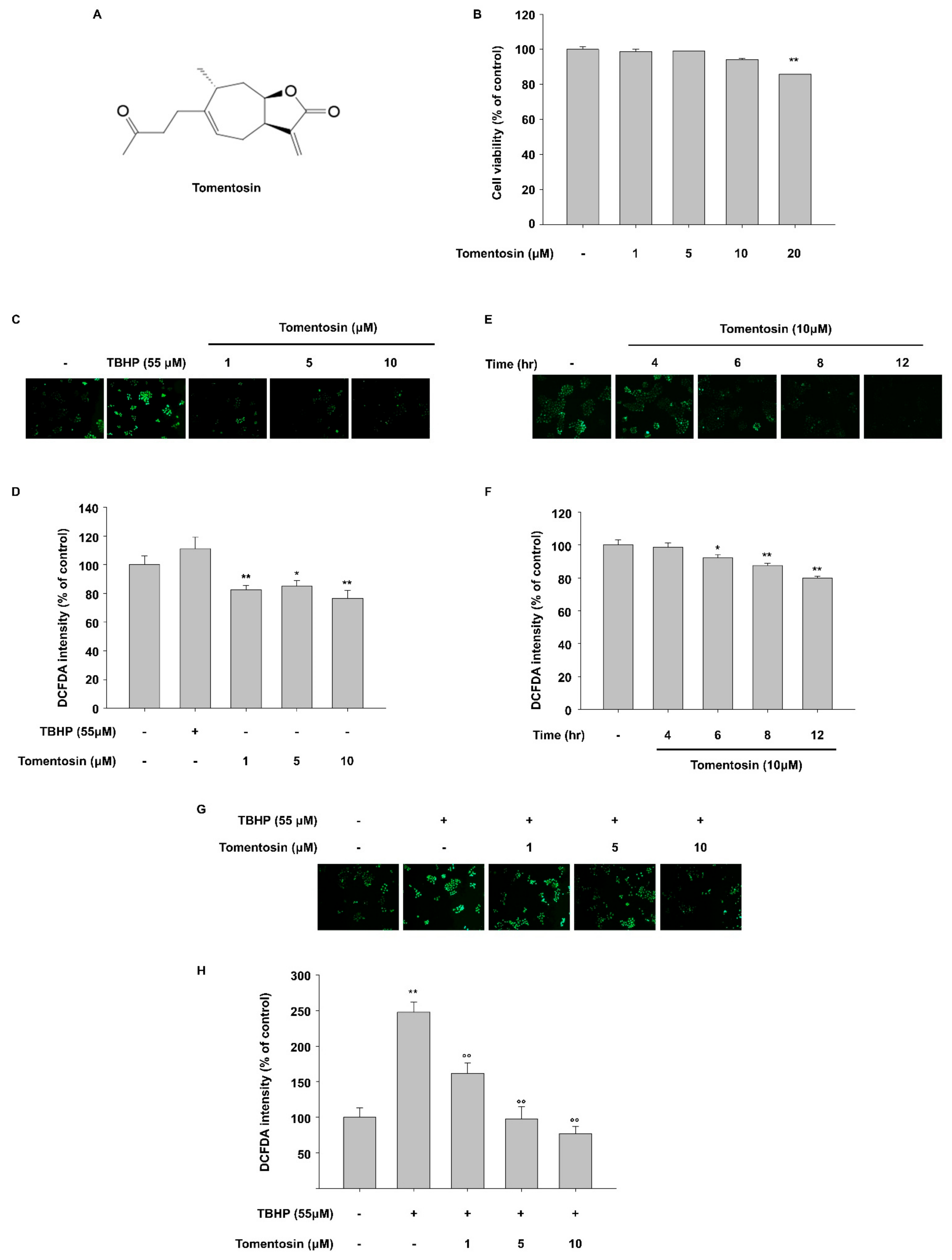 Antioxidants 11 00990 g001
