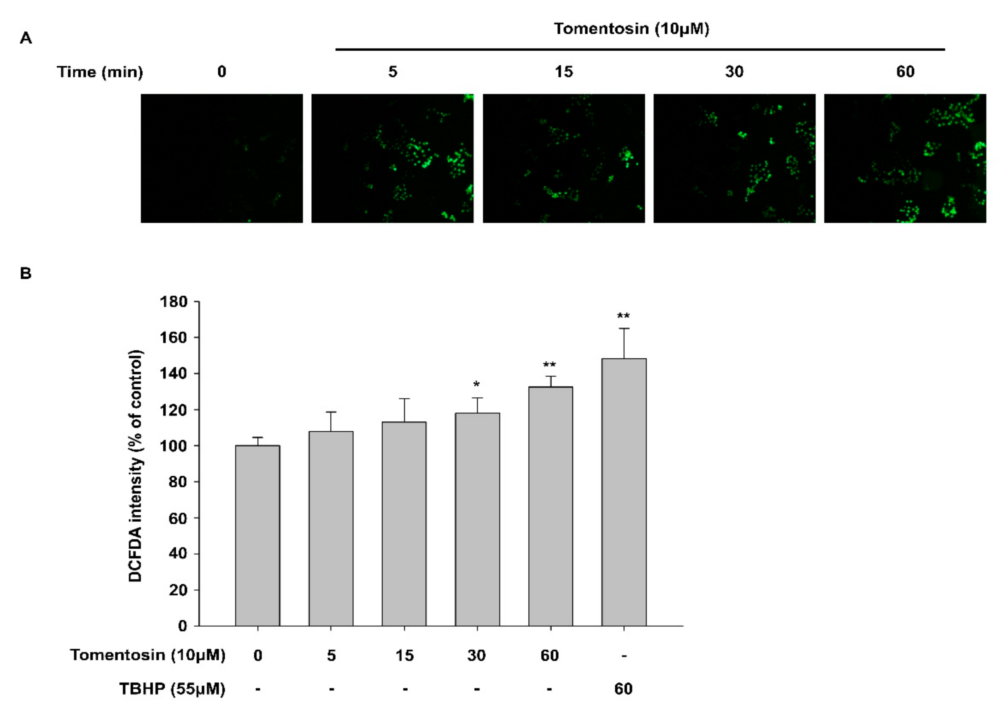 Antioxidants 11 00990 g004a