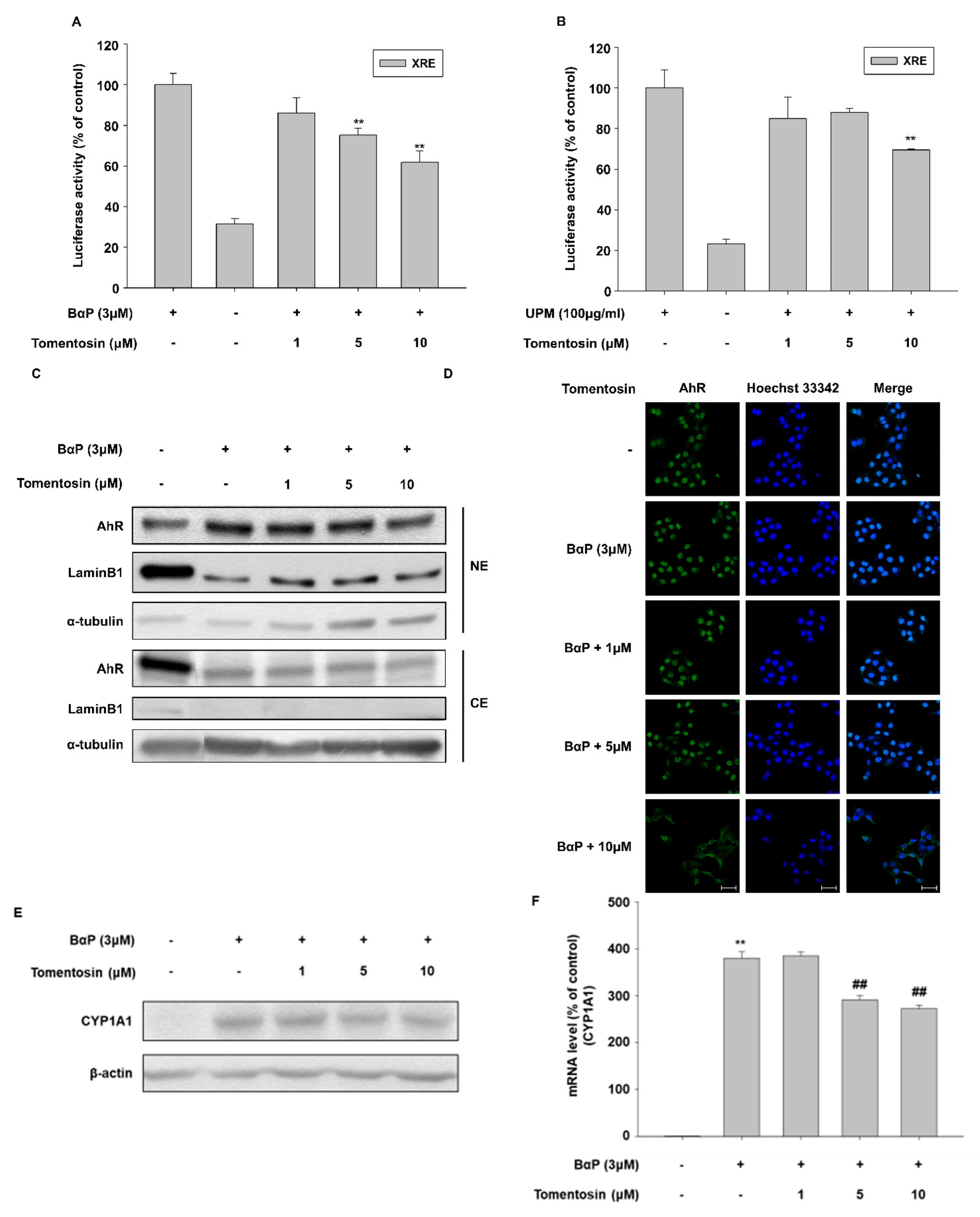 Antioxidants 11 00990 g005
