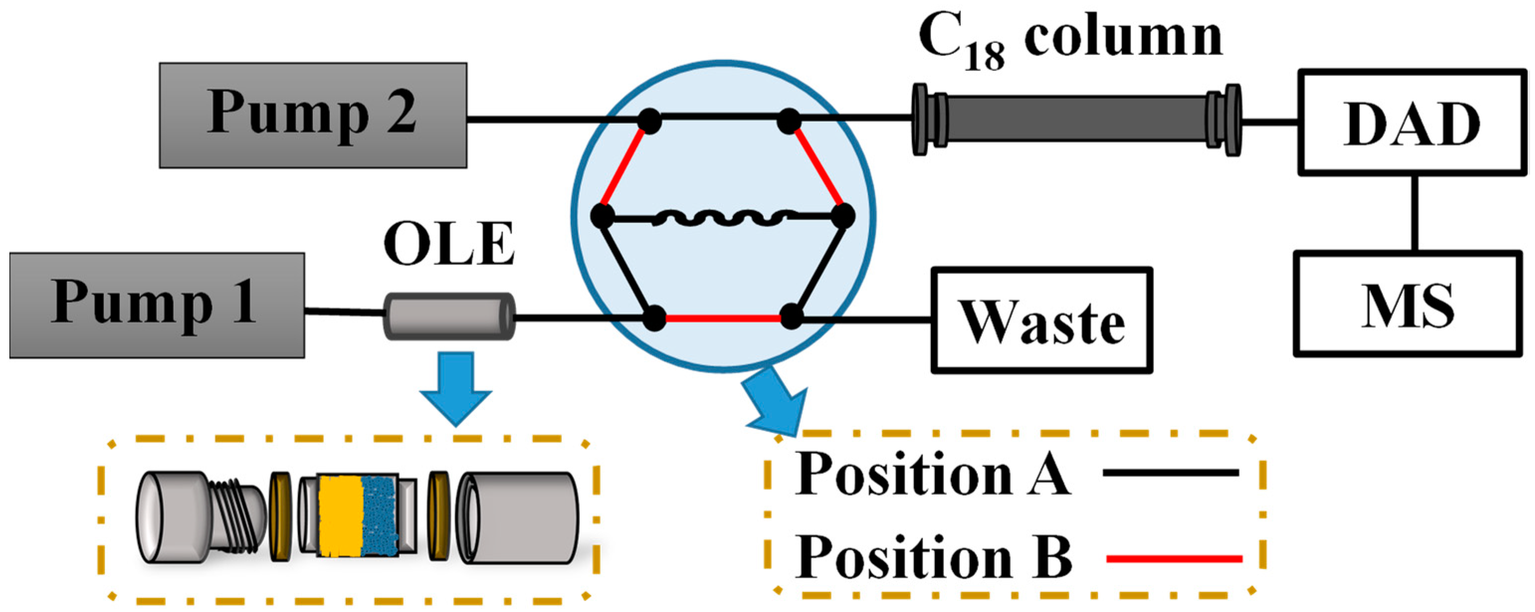 Antioxidants 11 01014 g001 550