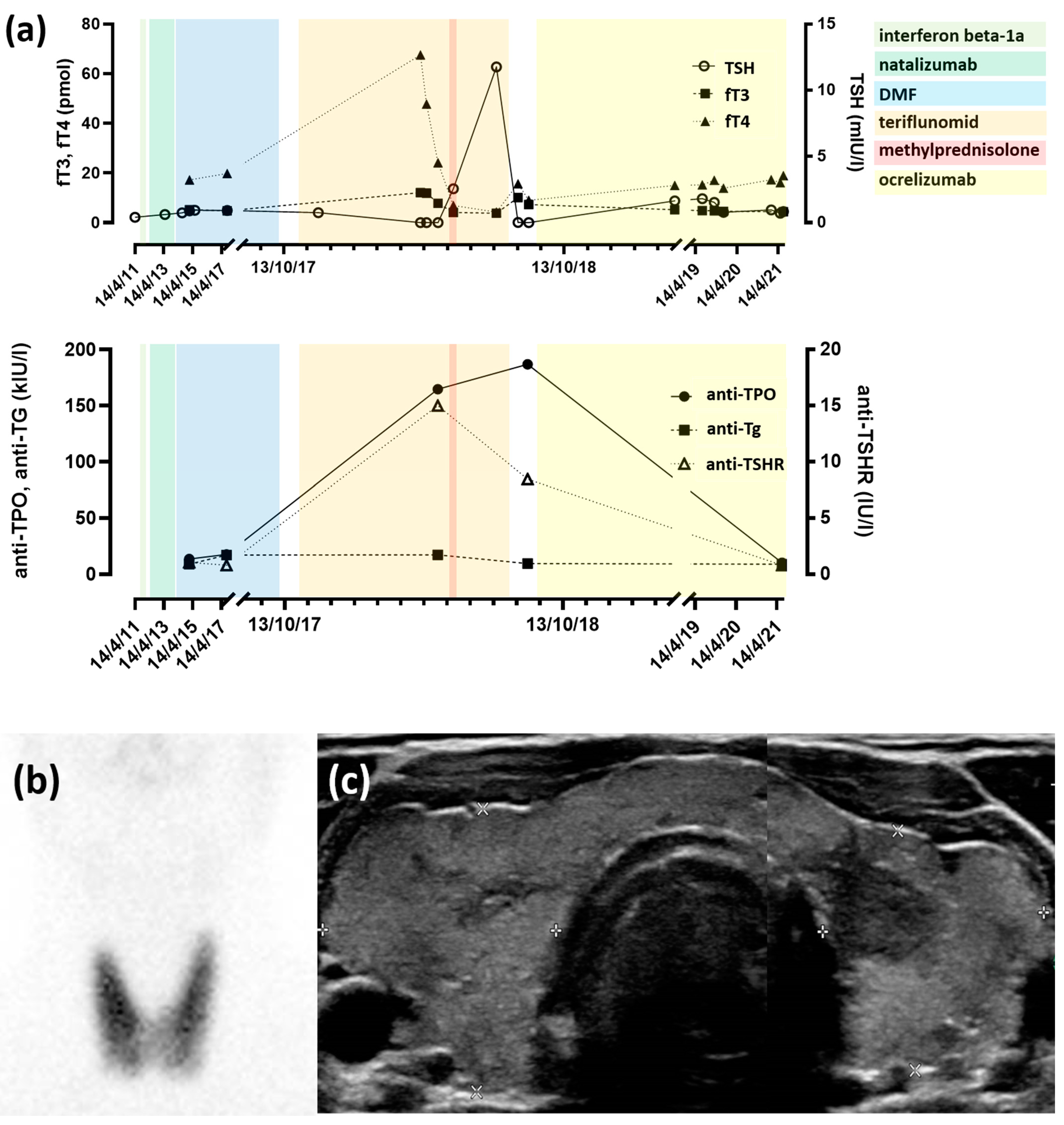 Antioxidants 11 01015 g001
