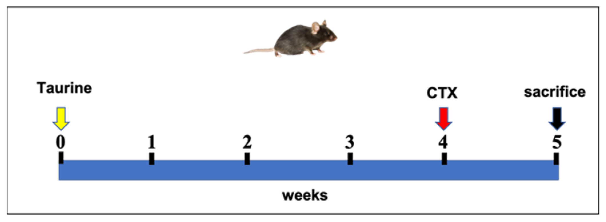 Antioxidants 11 01016 sch001 550