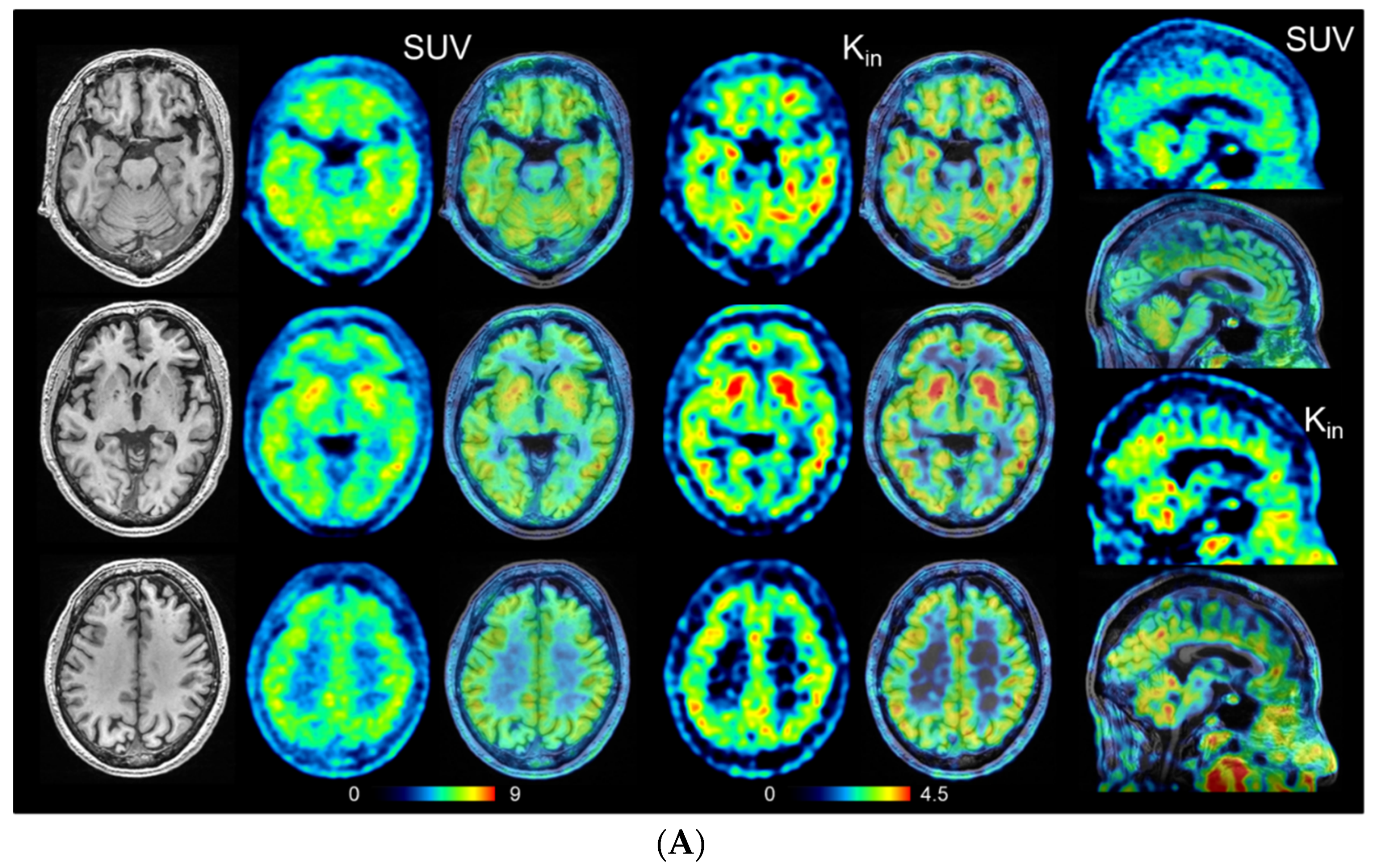 Antioxidants 11 01022 g003a 550