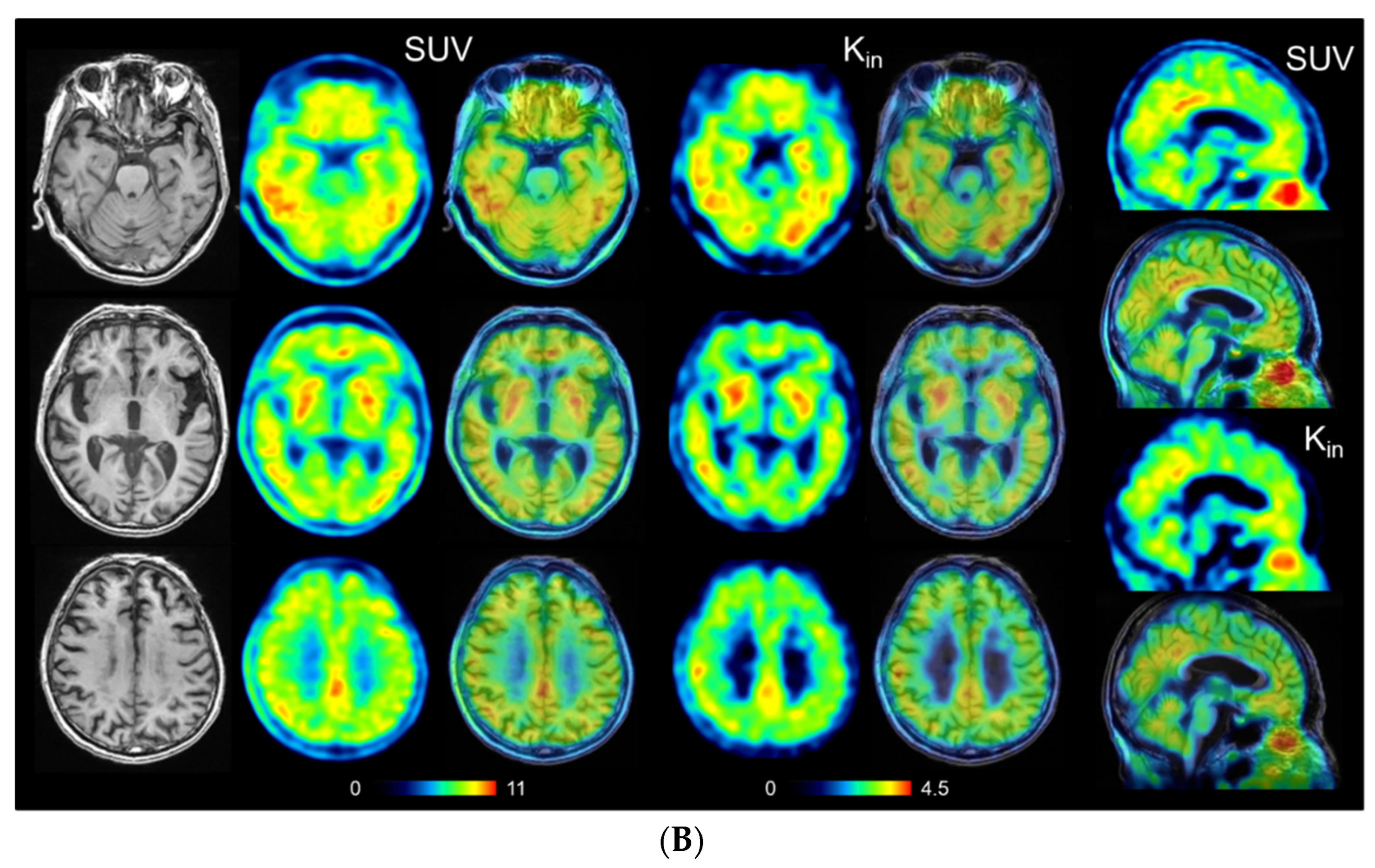 Antioxidants 11 01022 g003b 550