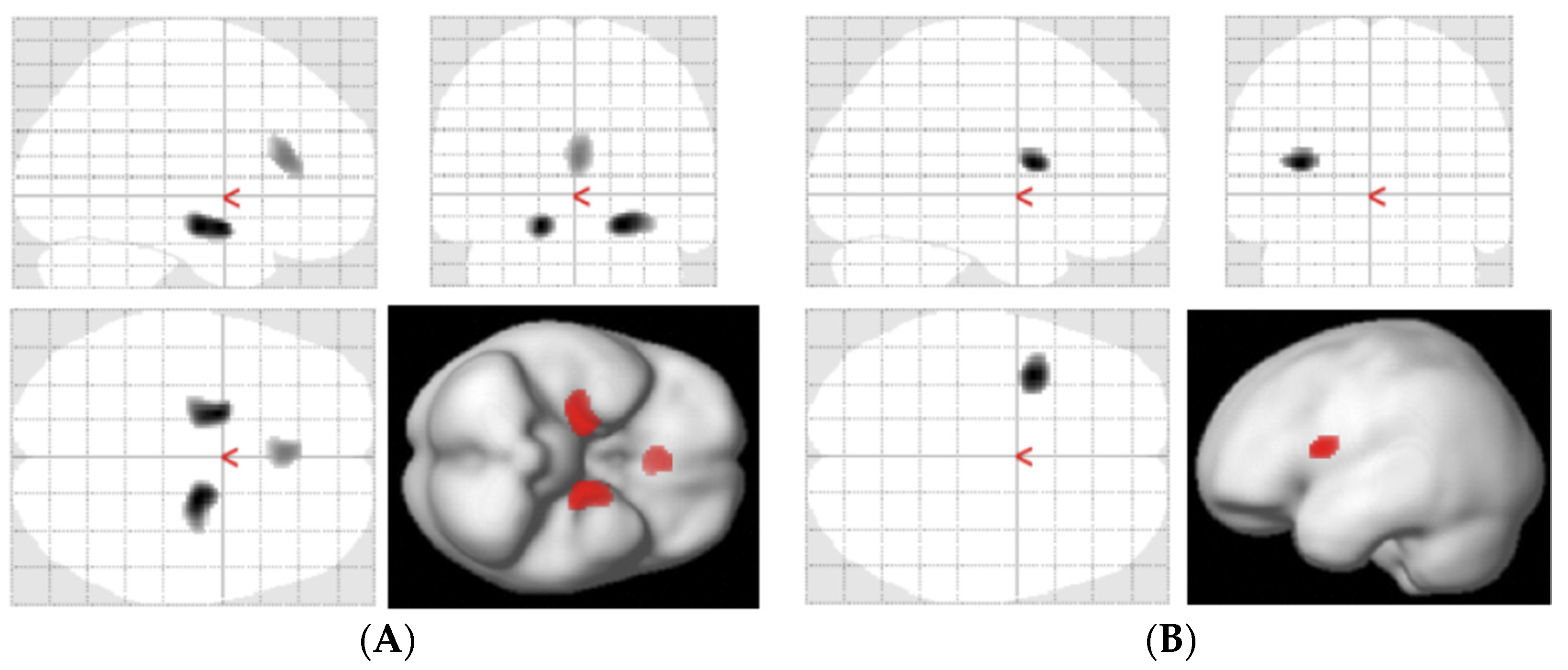Antioxidants 11 01022 g006 550