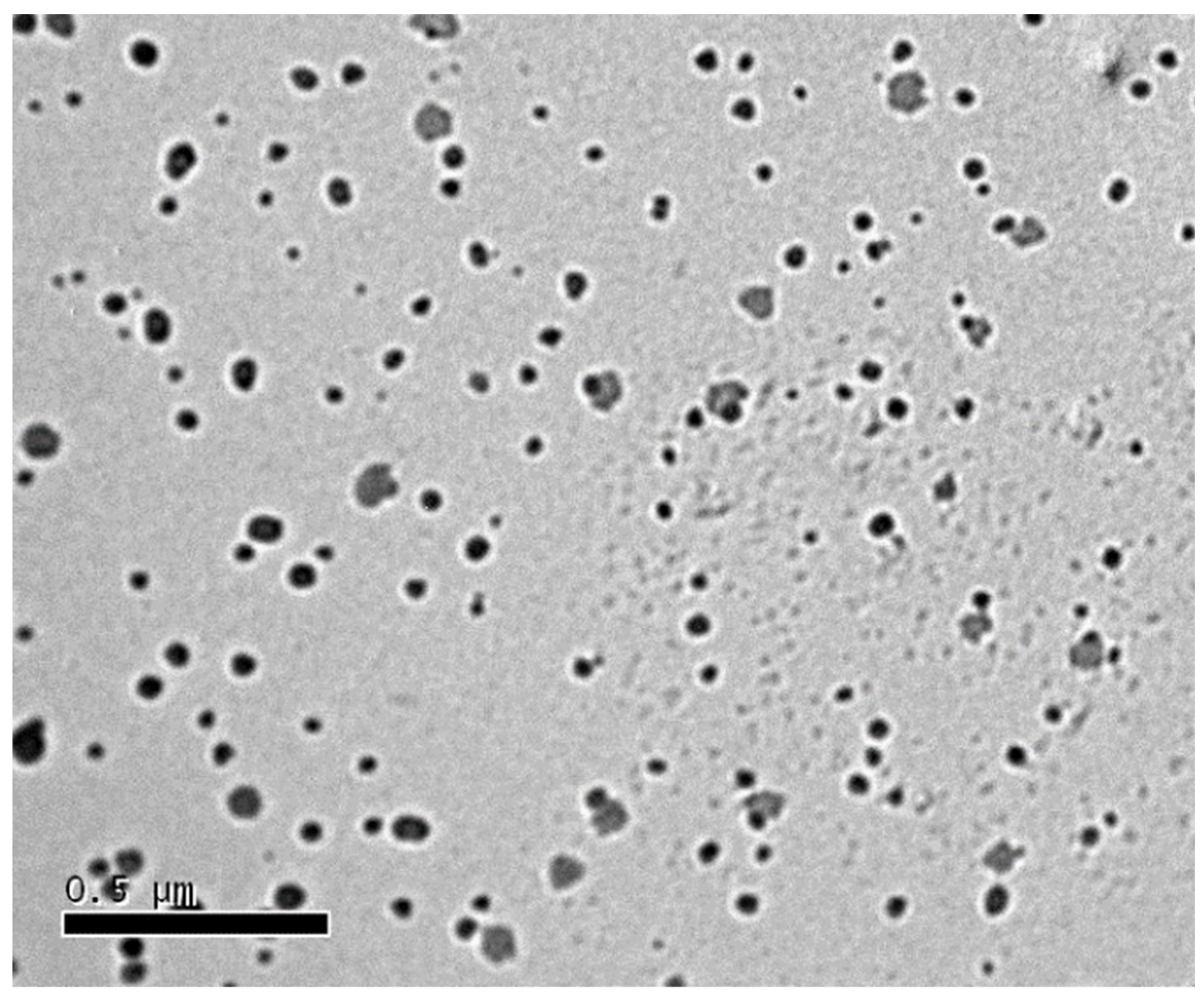 Antioxidants 11 01023 g004 550
