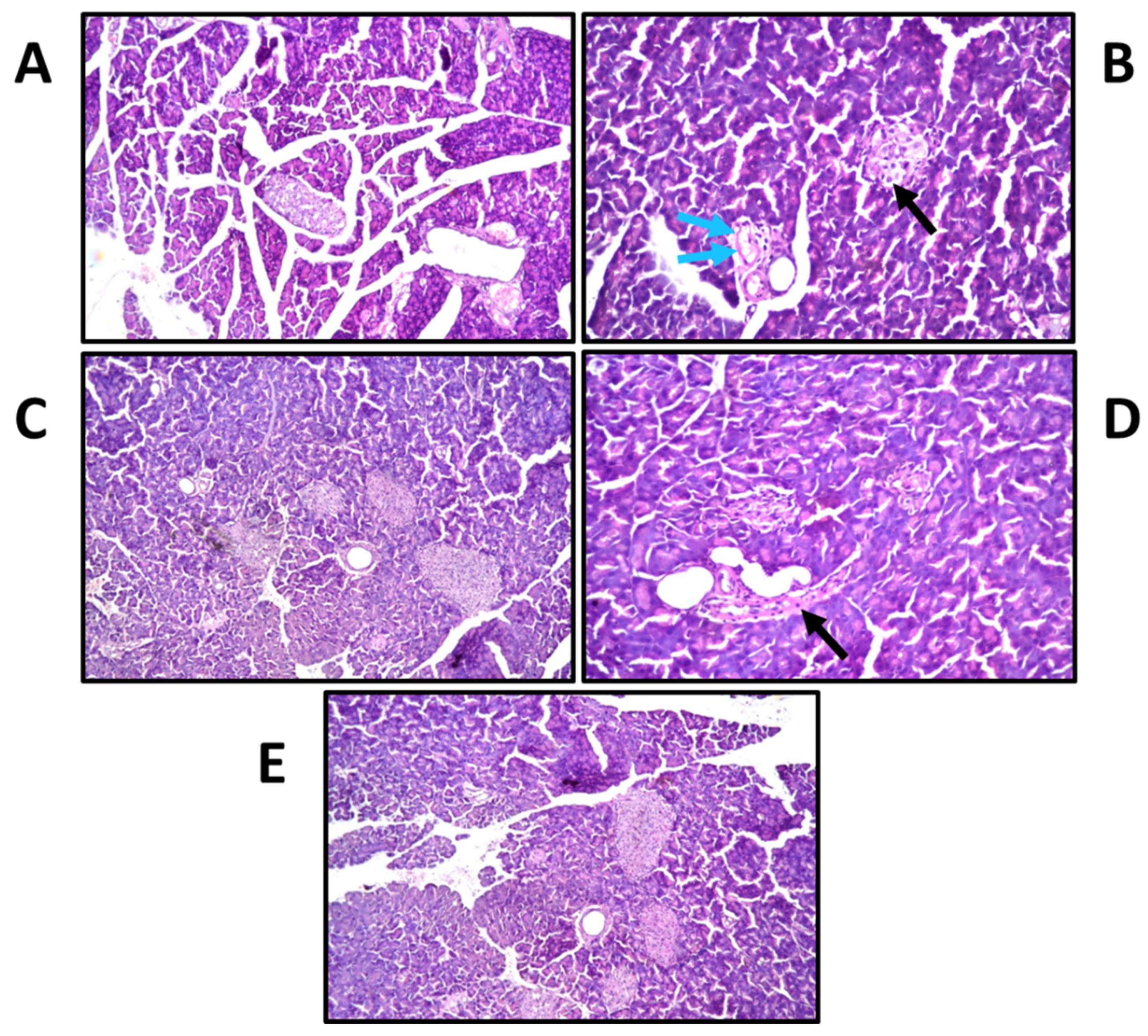 Antioxidants 11 01023 g008 550