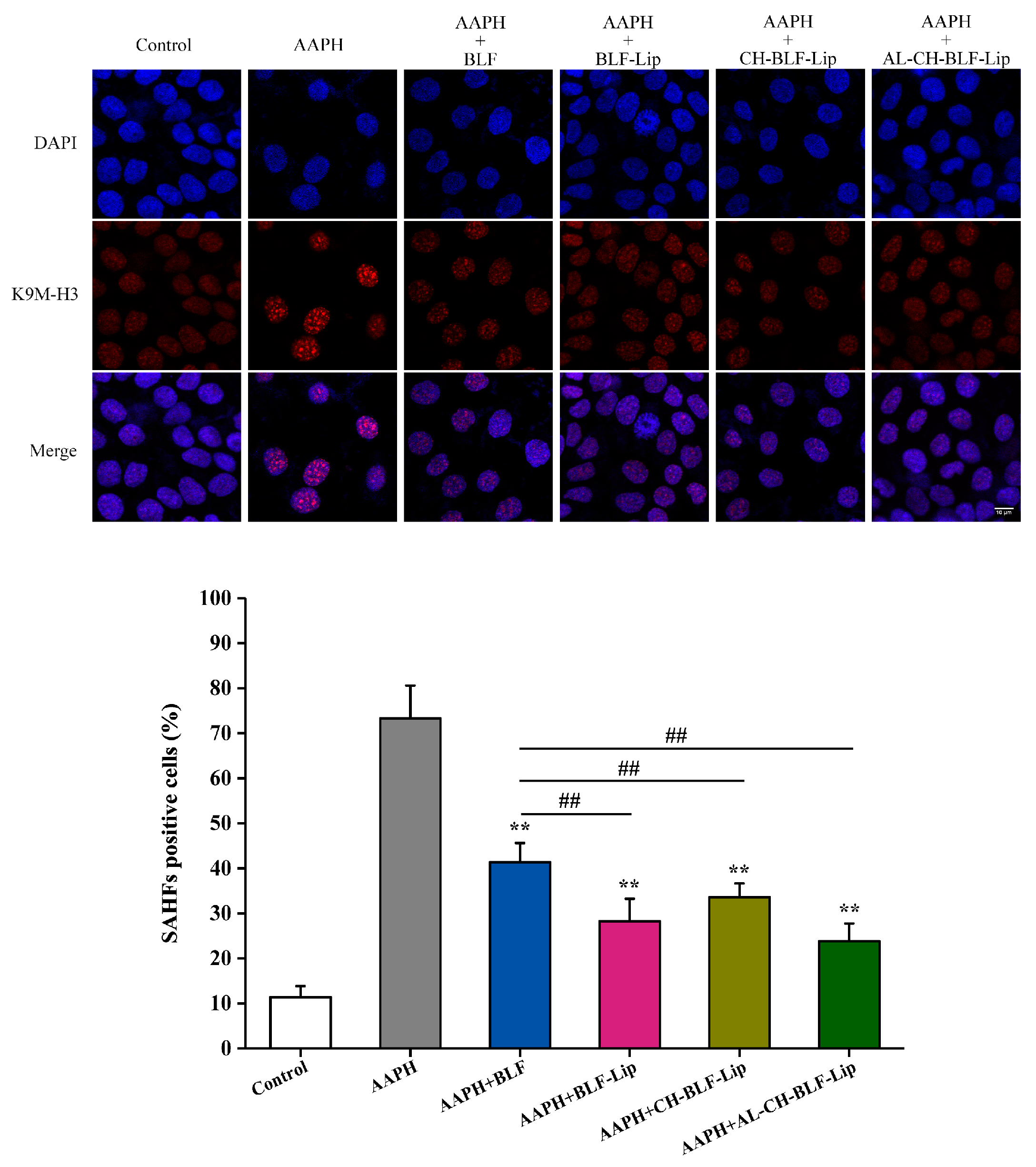 Antioxidants 11 01024 g008