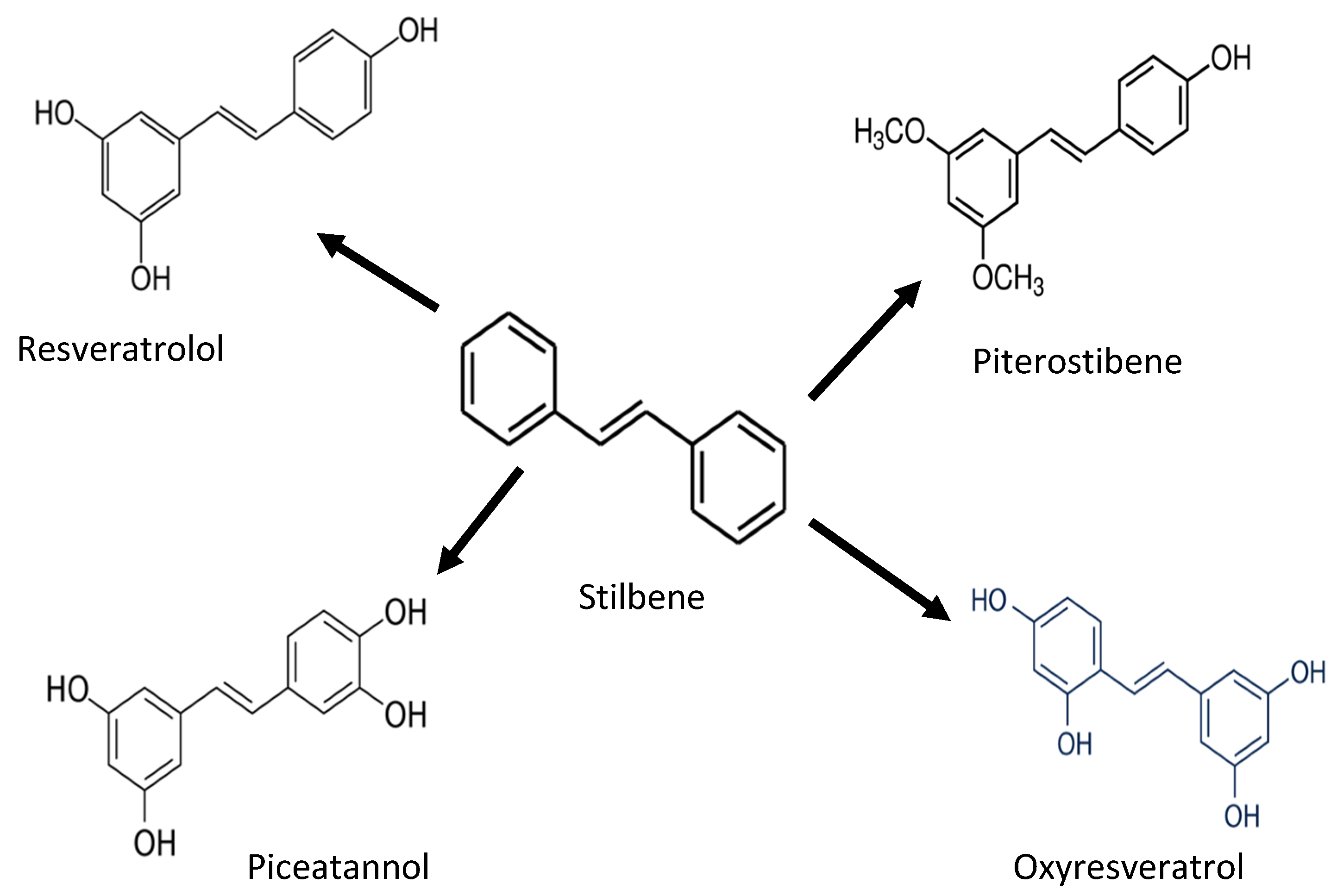 Antioxidants 11 01025 g004