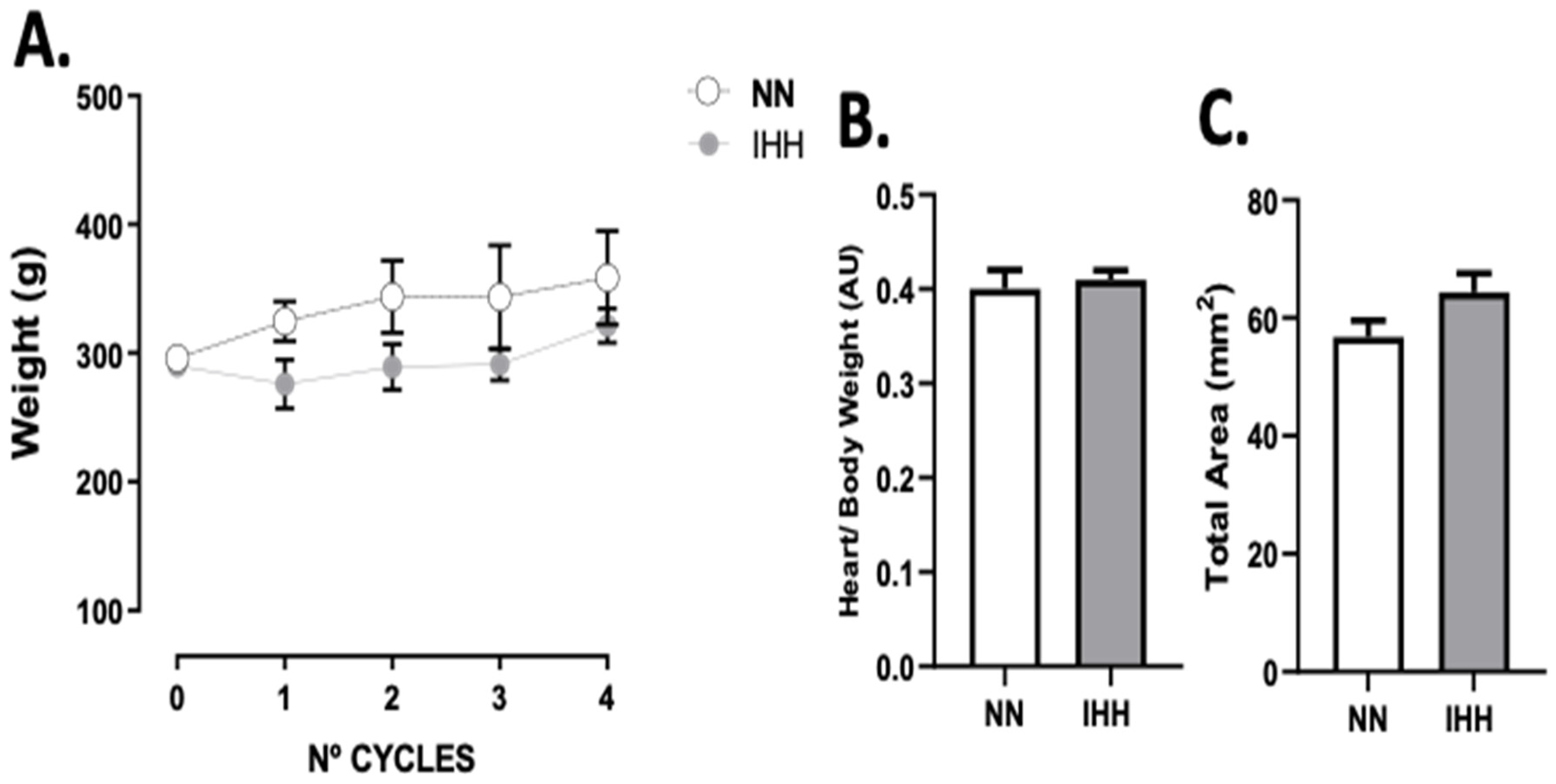 Antioxidants 11 01043 g001 Antioxidants 11 01043 g001