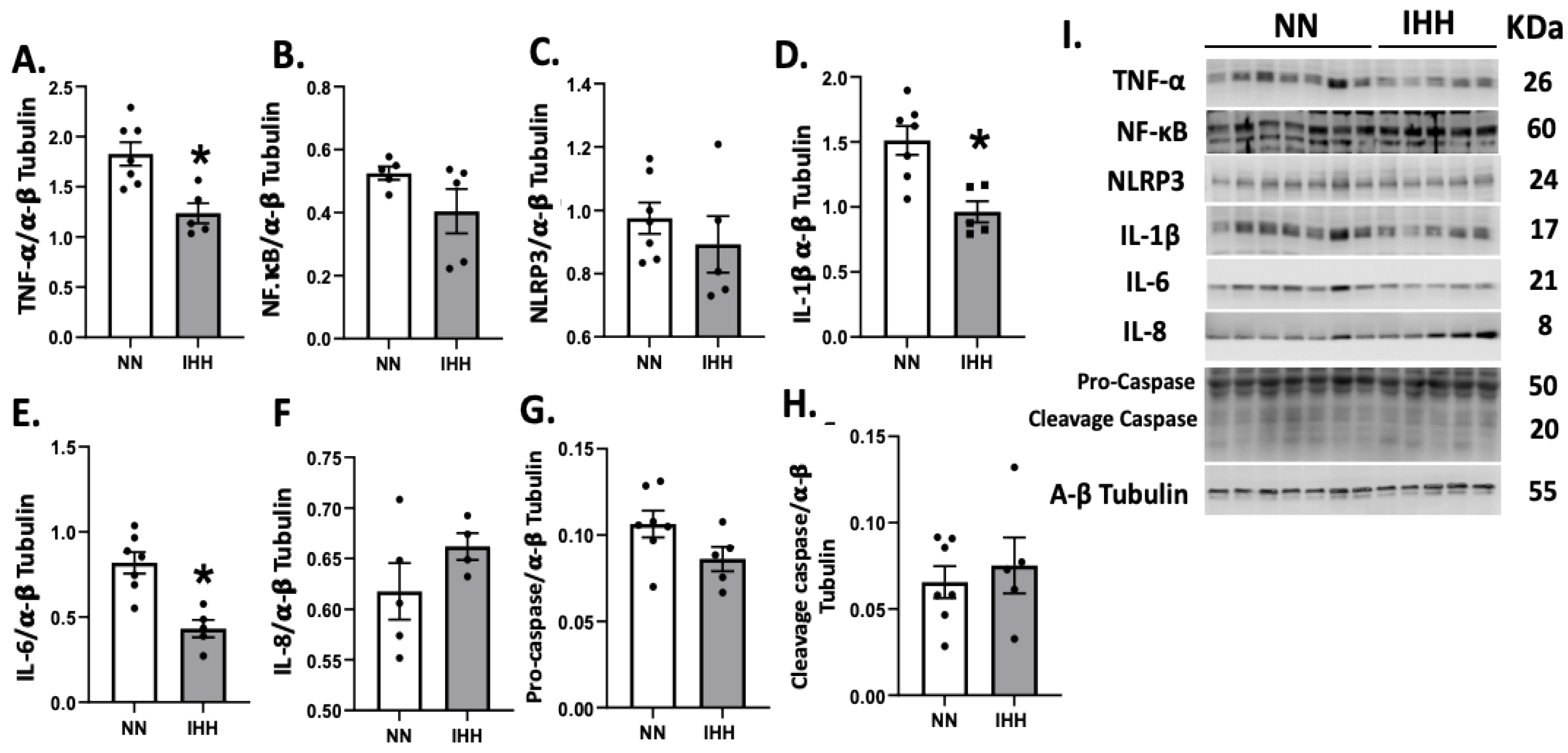 Antioxidants 11 01043 g004 Antioxidants 11 01043 g004