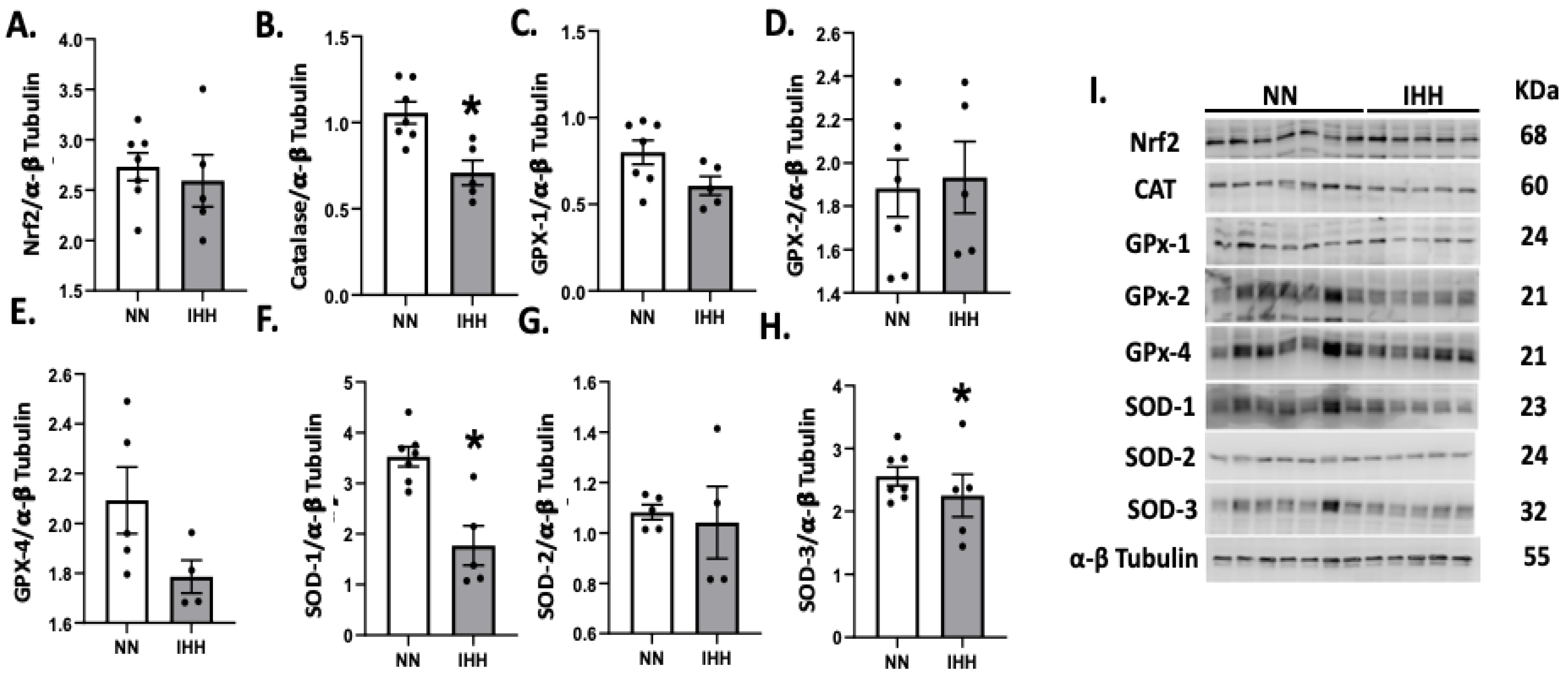 Antioxidants 11 01043 g005 Antioxidants 11 01043 g005