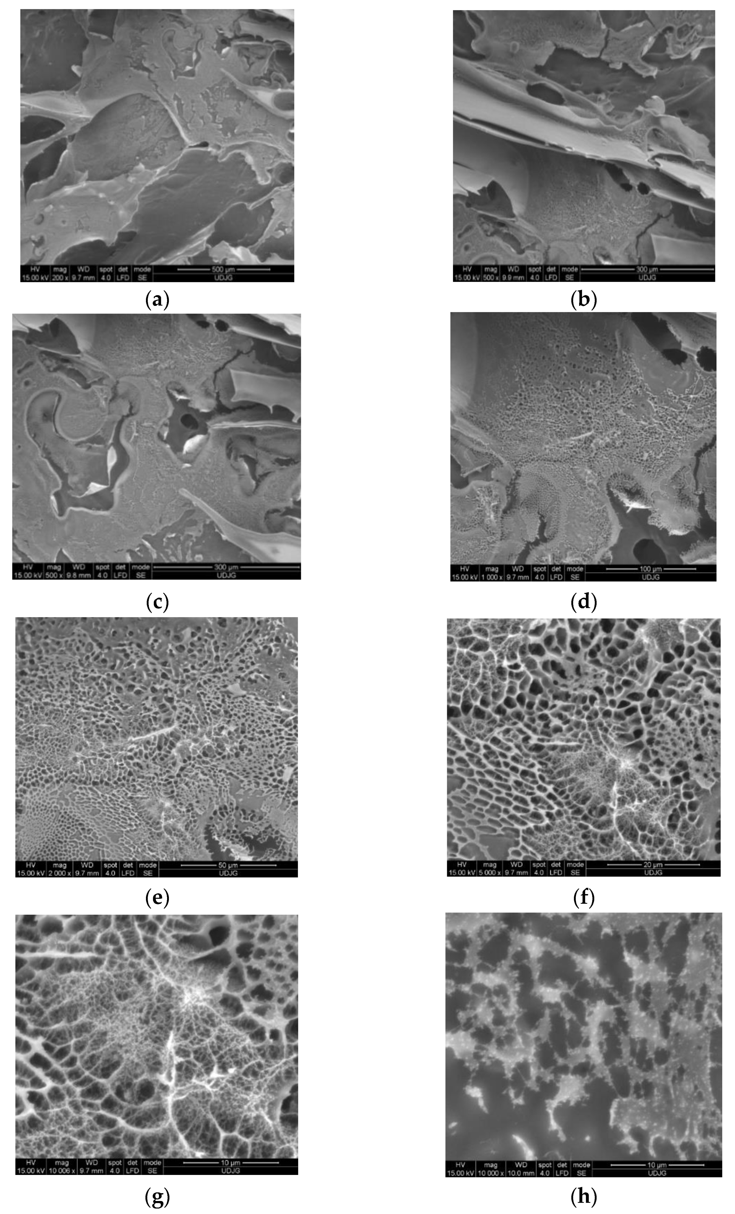 Antioxidants 11 01048 g004 550