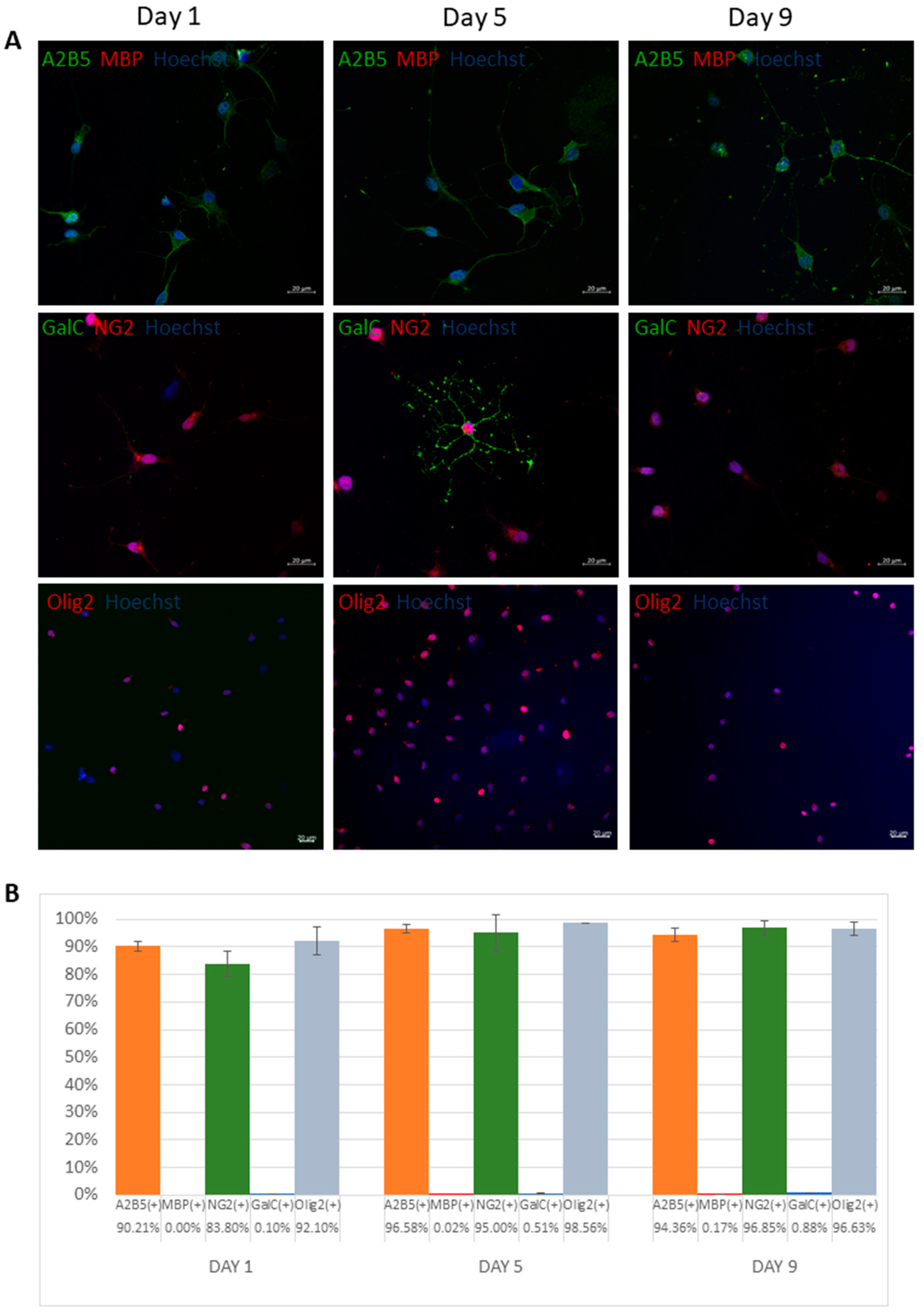 Antioxidants 11 01050 g001 Antioxidants 11 01050 g001