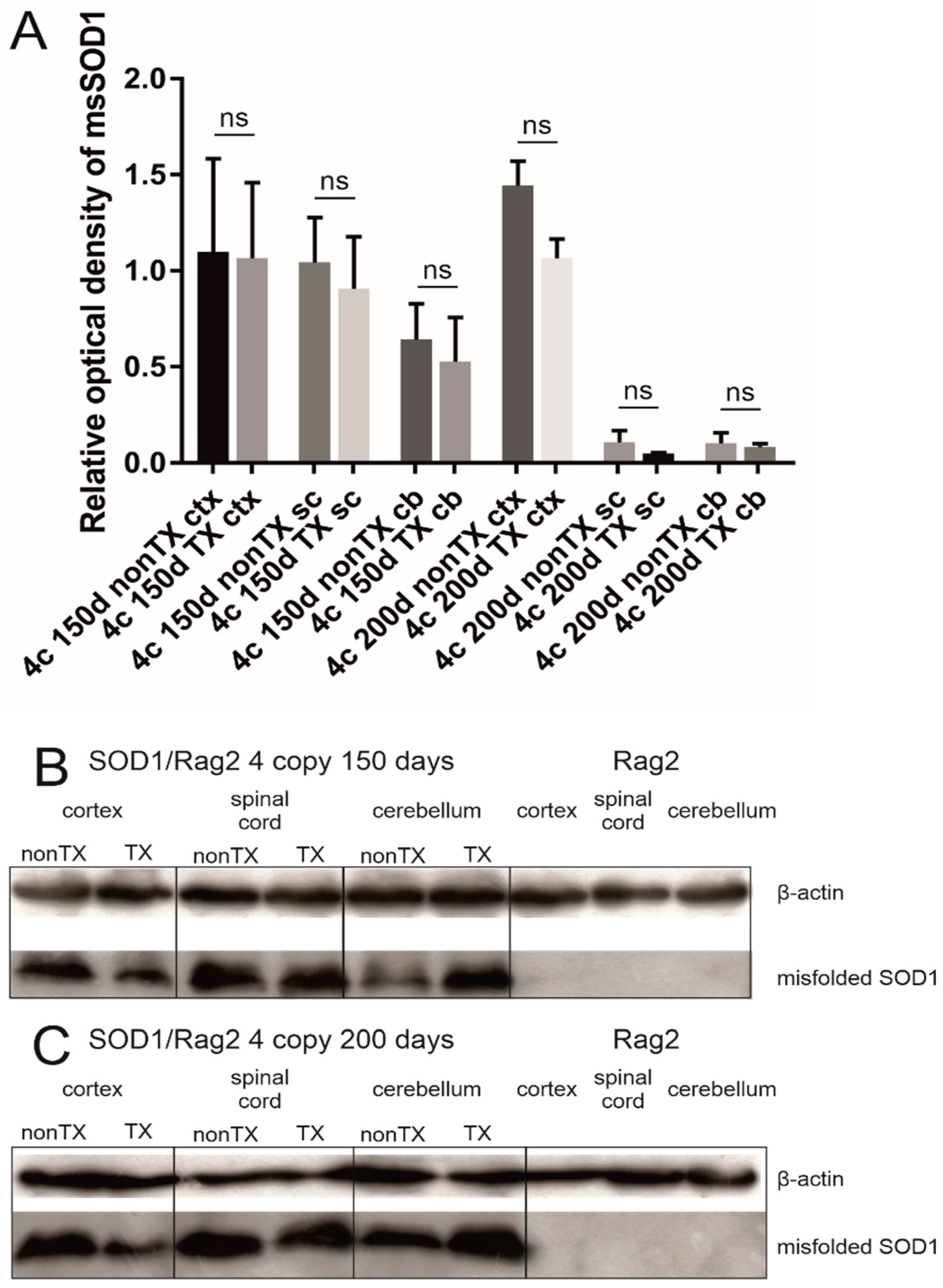 Antioxidants 11 01050 g007 Antioxidants 11 01050 g007