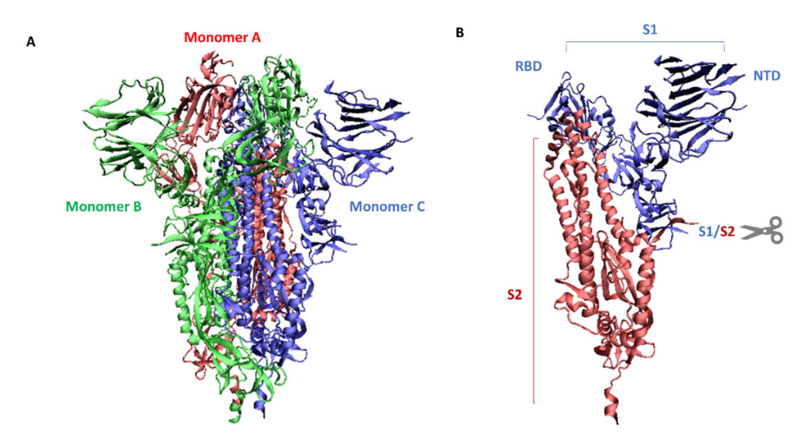 Antioxidants 11 01053 g002 550