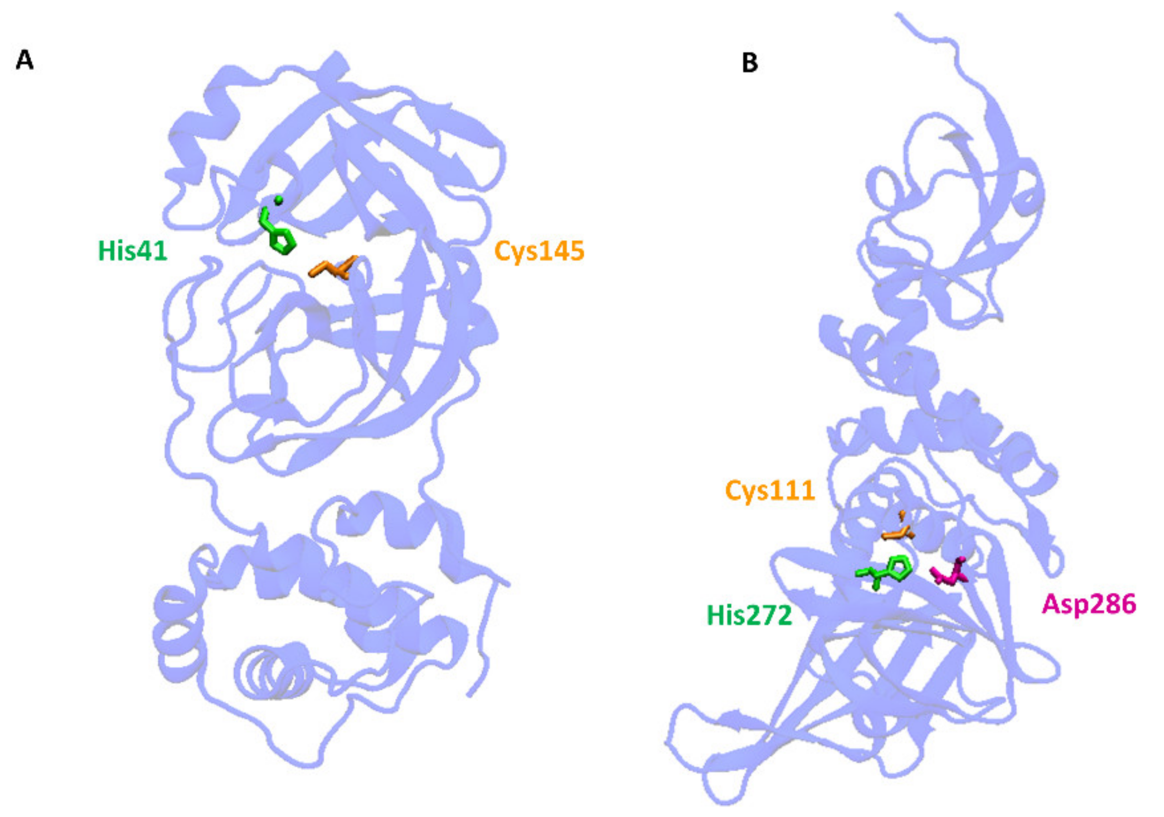 Antioxidants 11 01053 g003 550