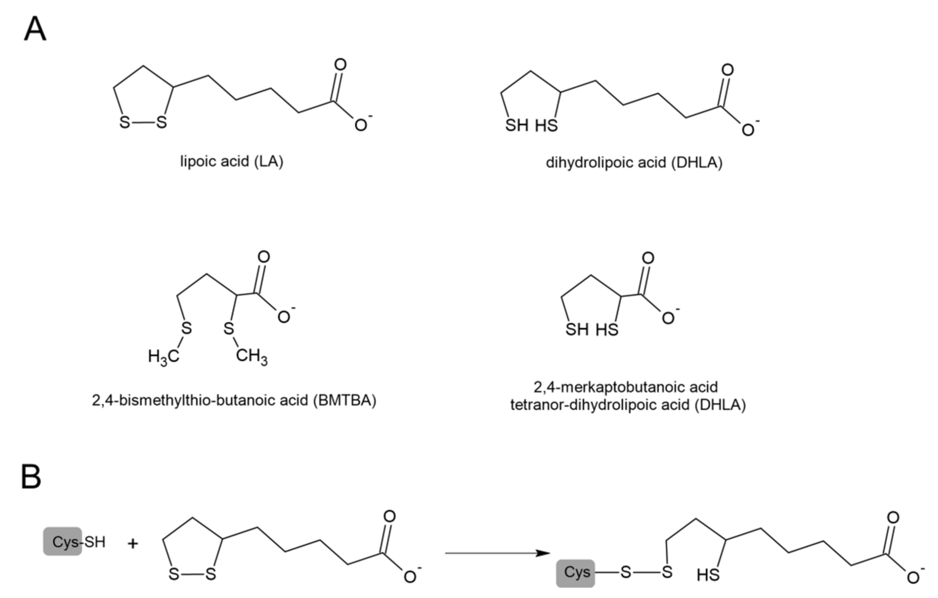 Antioxidants 11 01053 g008 550