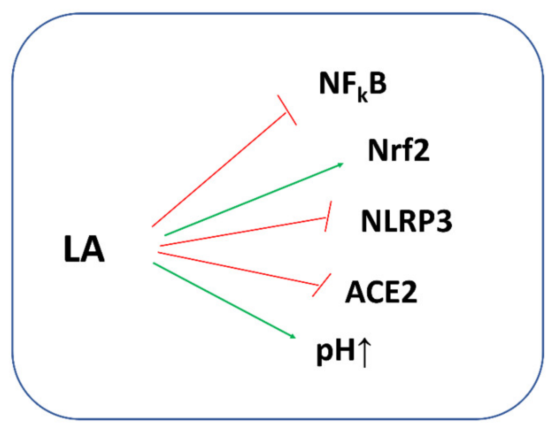 Antioxidants 11 01053 g009 550