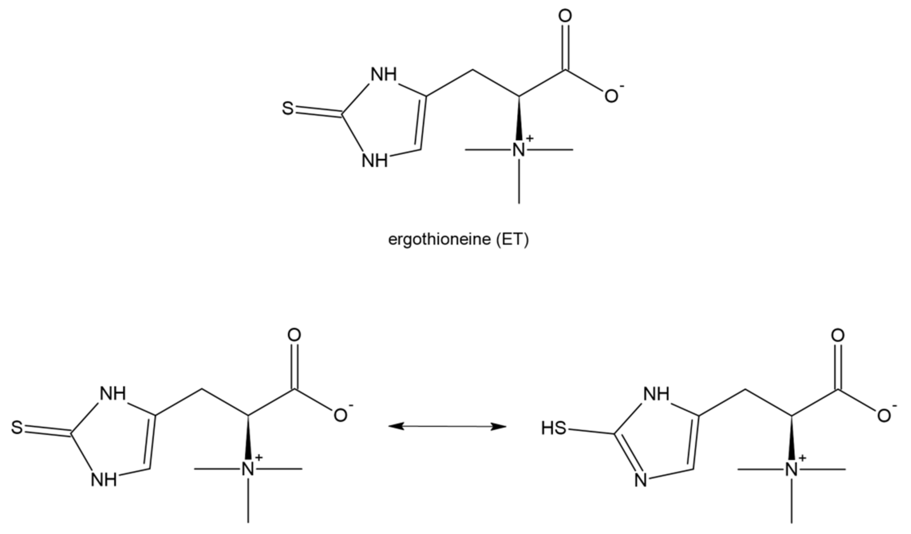 Antioxidants 11 01053 g011 550
