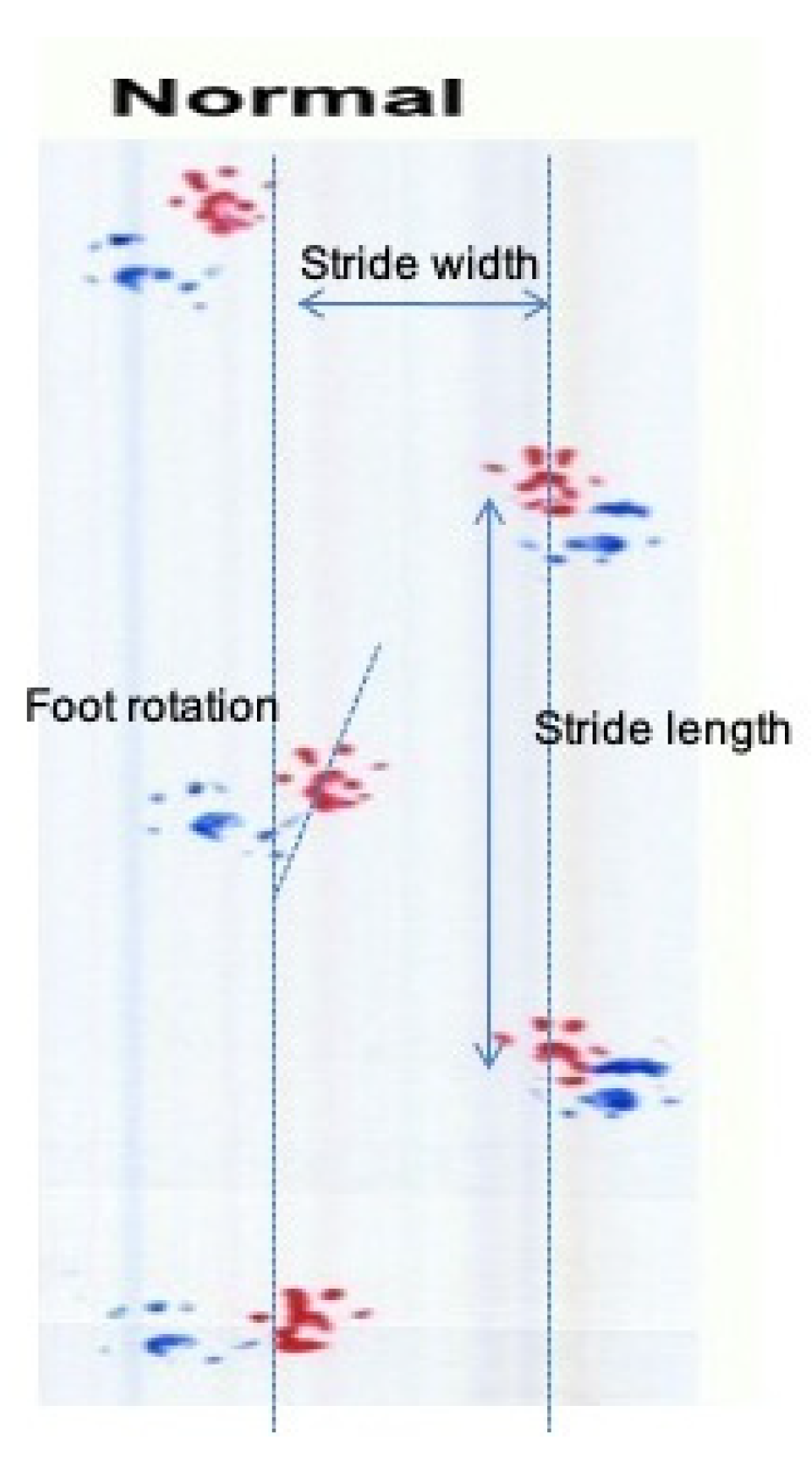 Antioxidants 11 01062 g002 Antioxidants 11 01062 g002