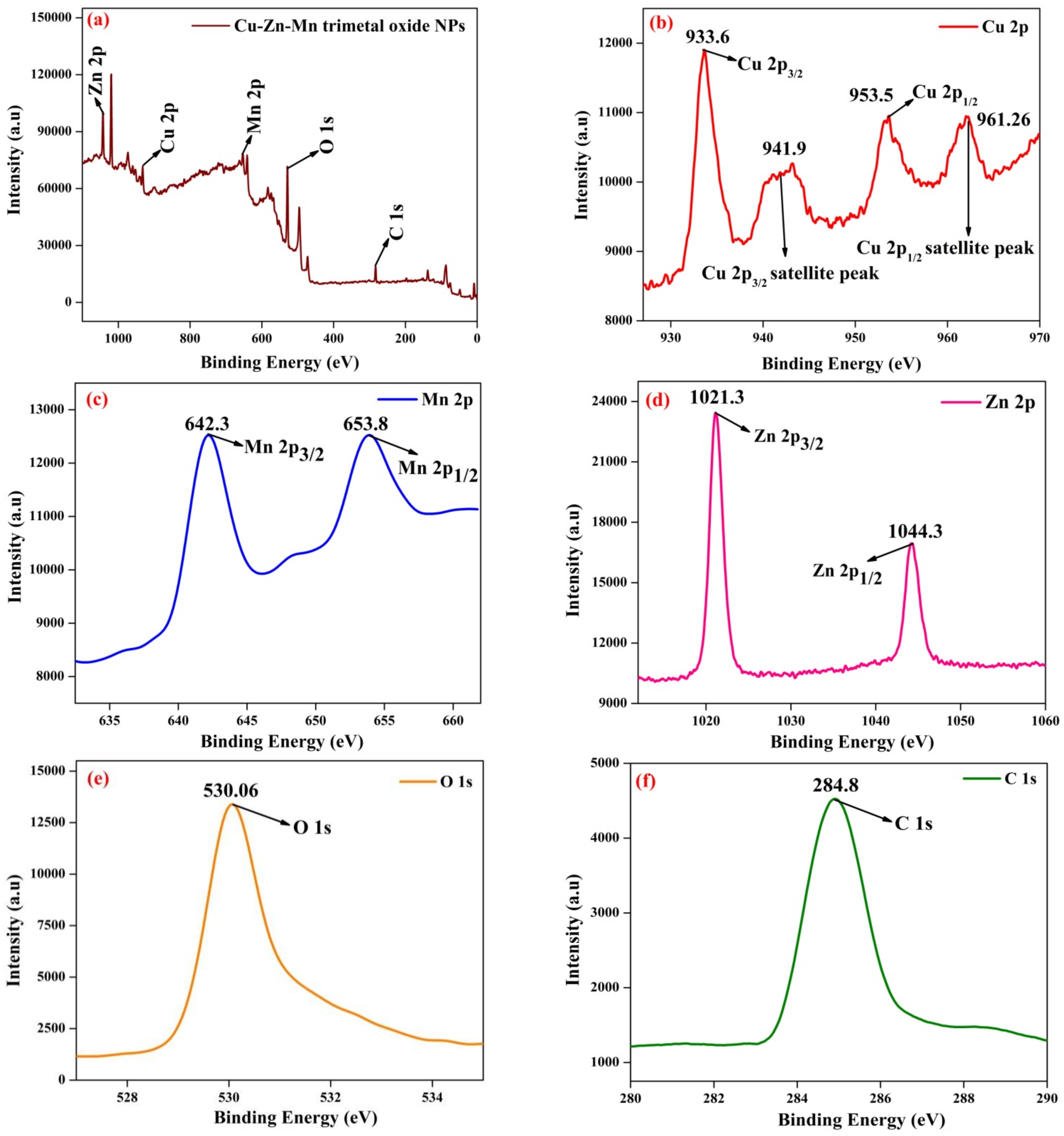 Antioxidants 11 01064 g006 Antioxidants 11 01064 g006