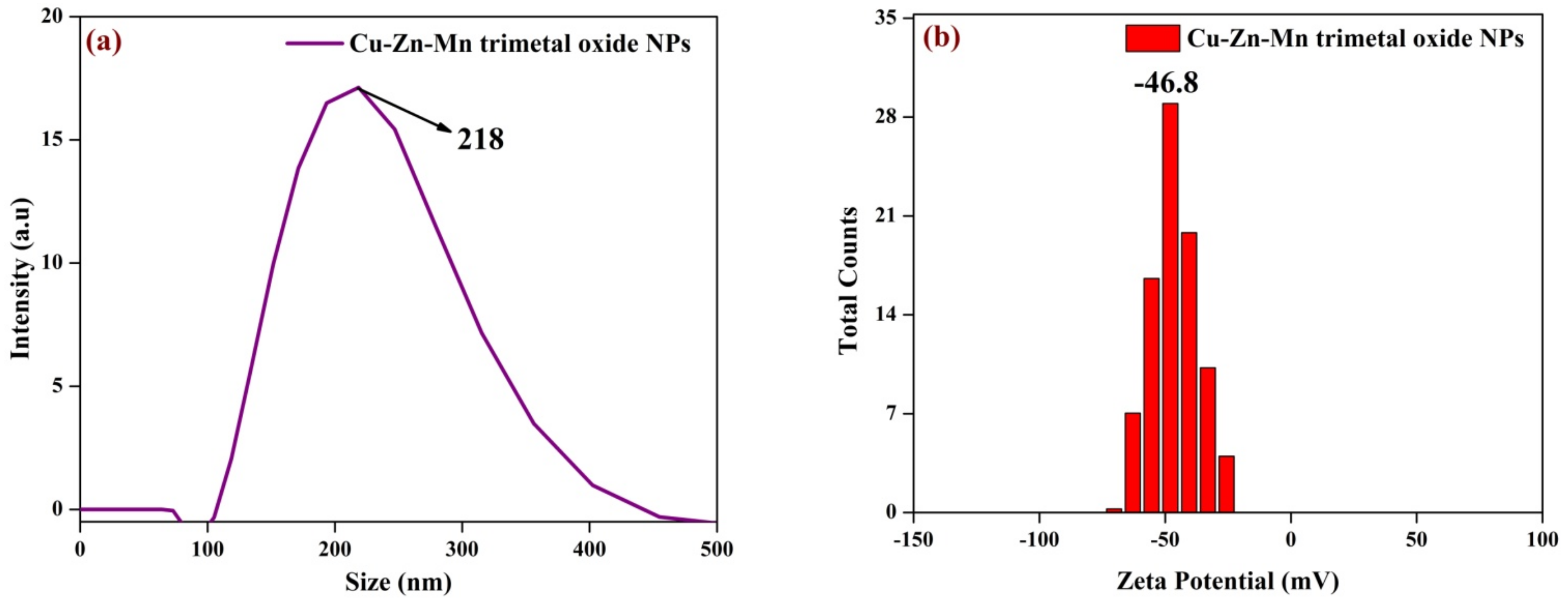 Antioxidants 11 01064 g007 Antioxidants 11 01064 g007