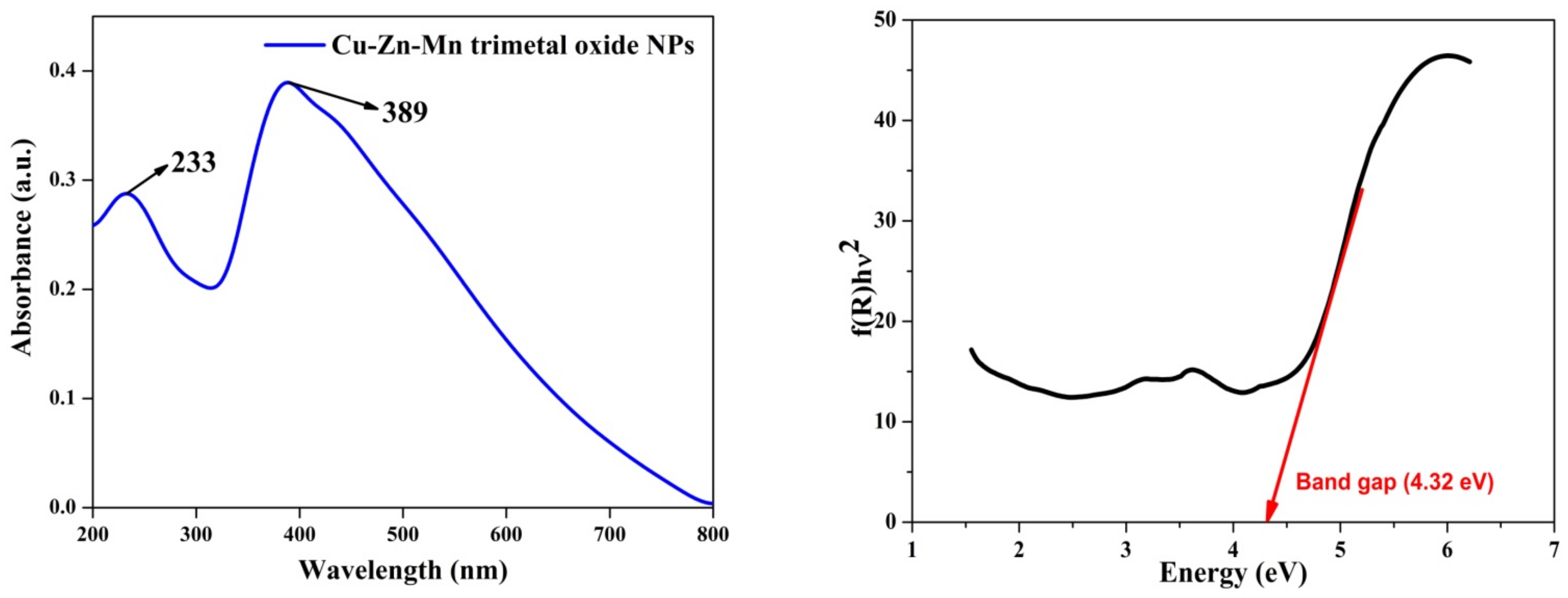 Antioxidants 11 01064 g008 Antioxidants 11 01064 g008