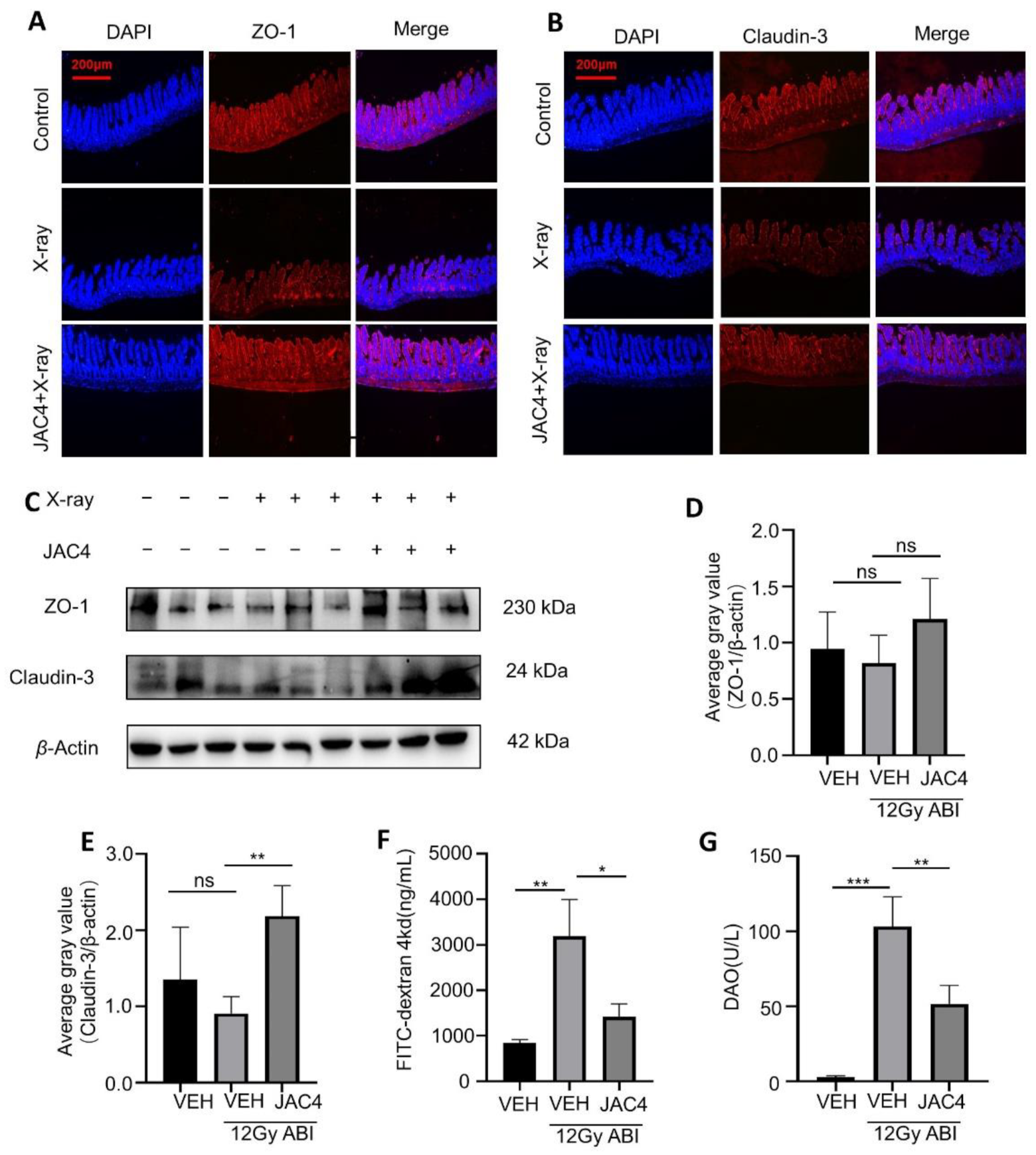 Antioxidants 11 01067 g002 550