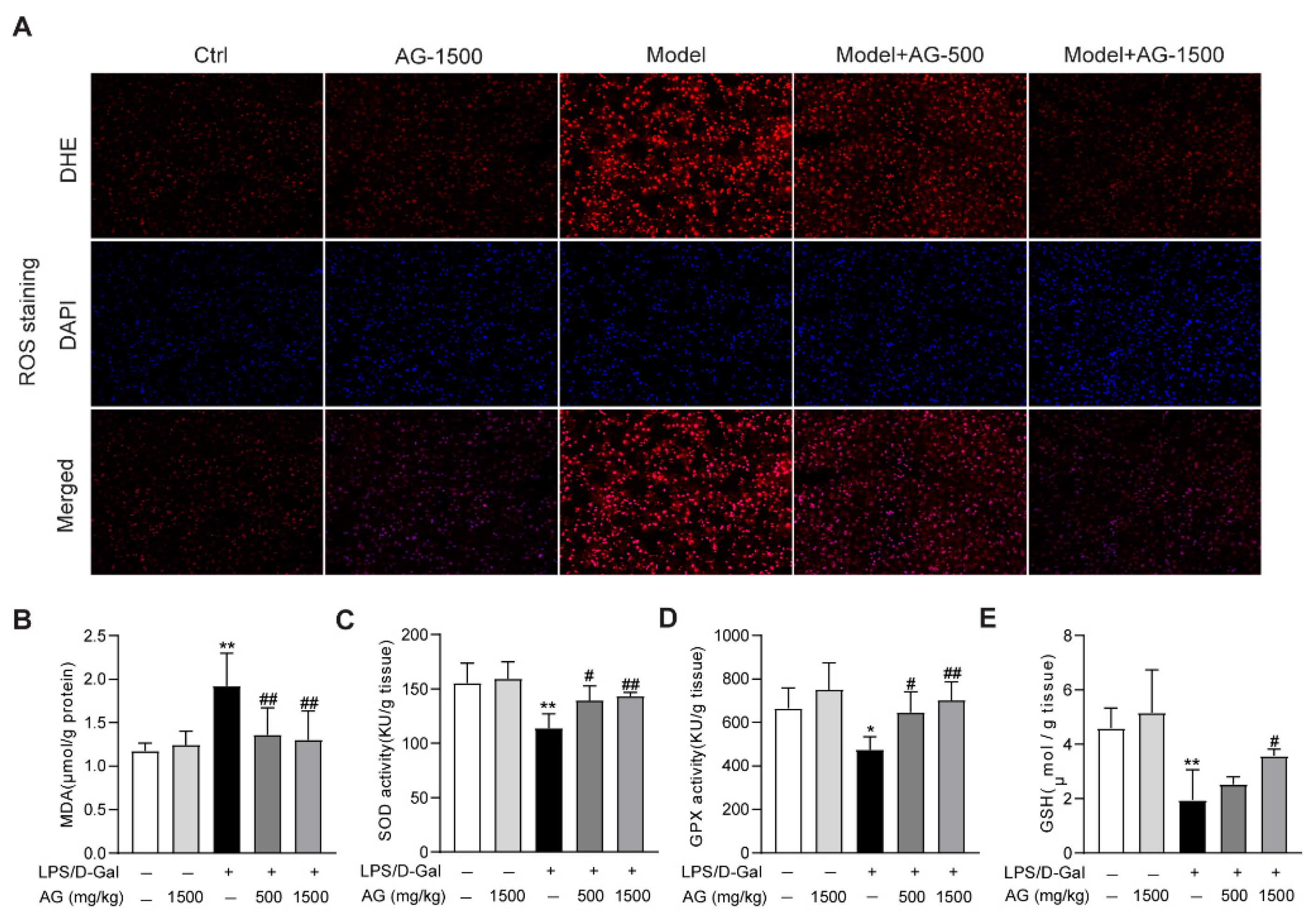 Antioxidants 11 01070 g003
