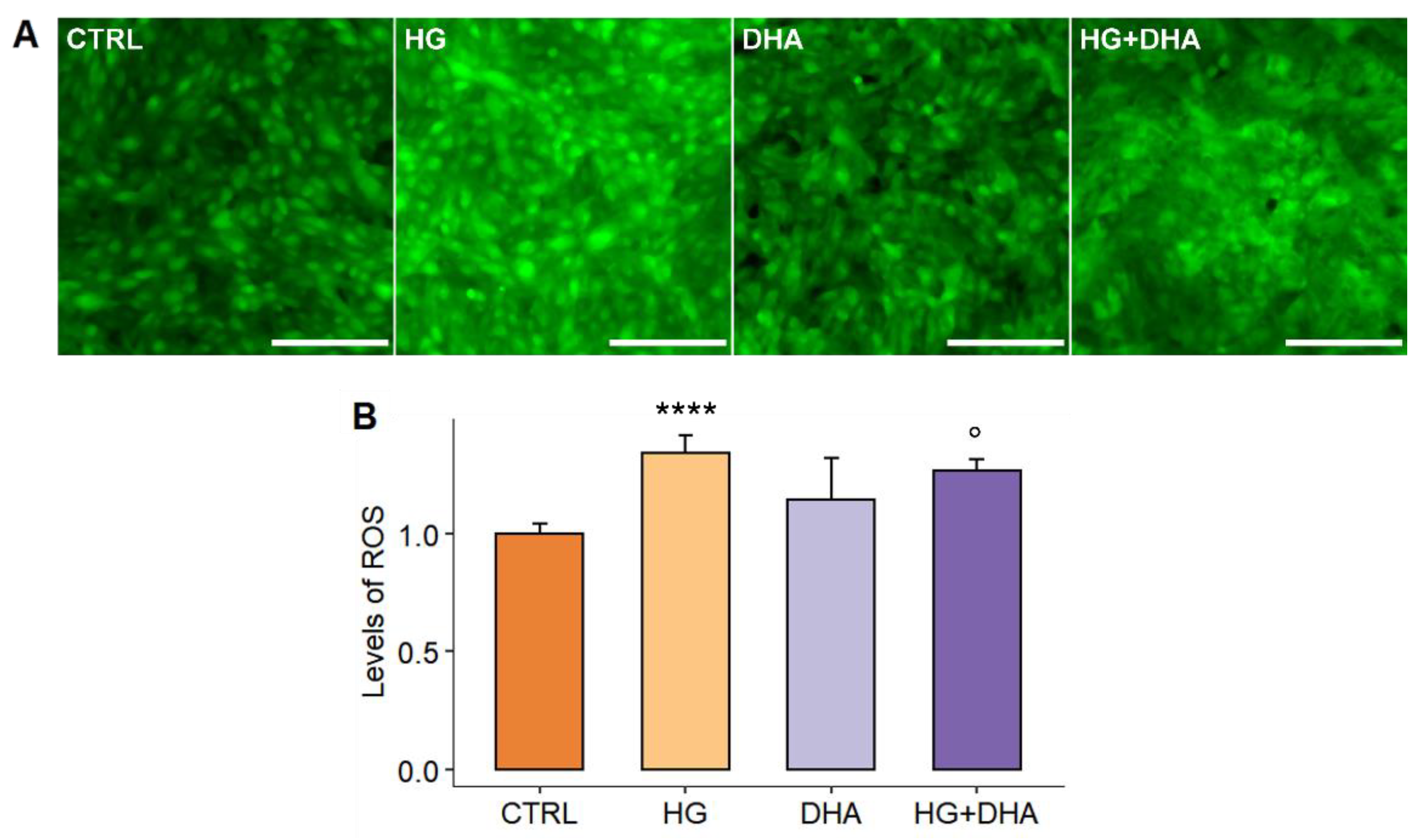 Antioxidants 11 01072 g002