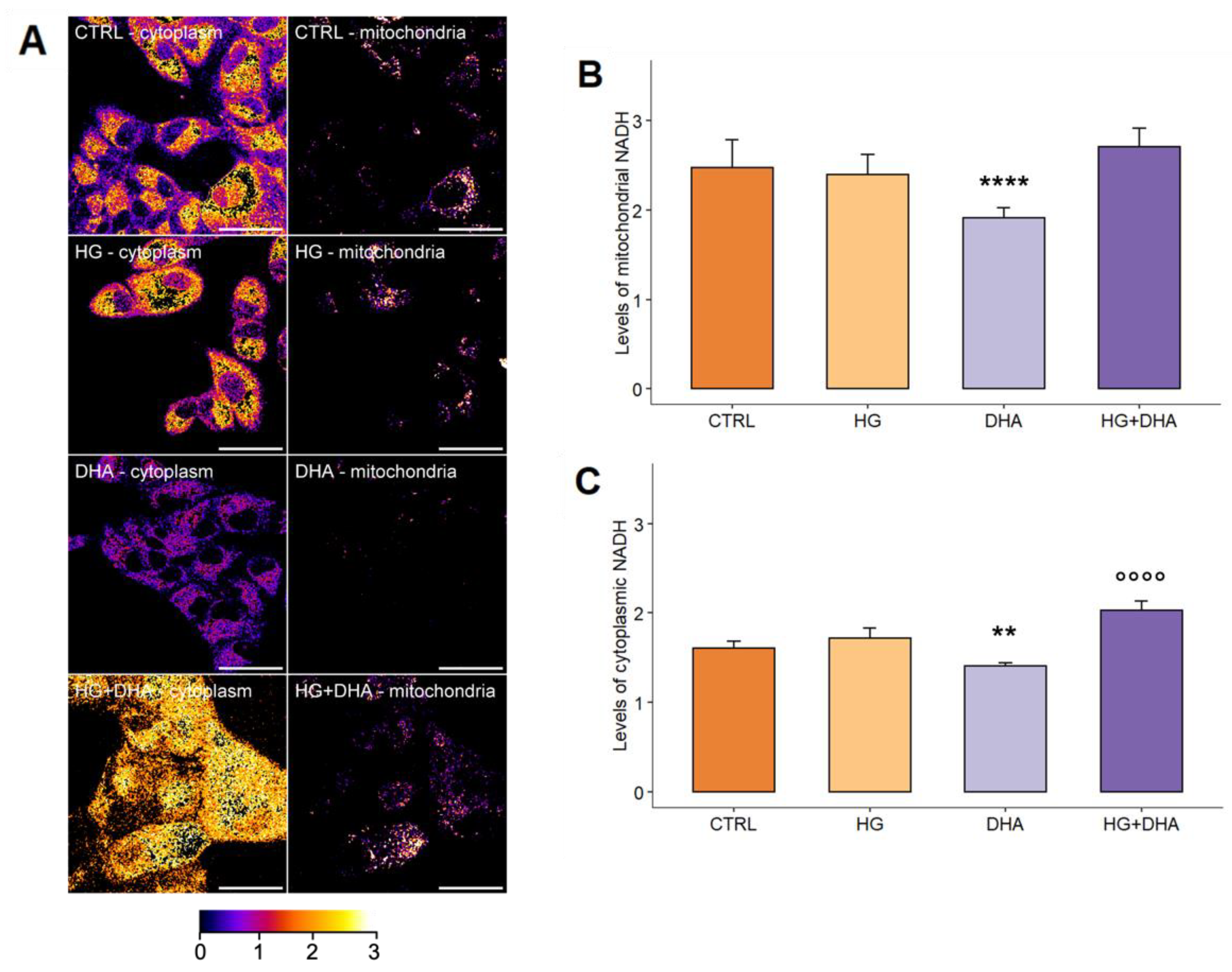 Antioxidants 11 01072 g004