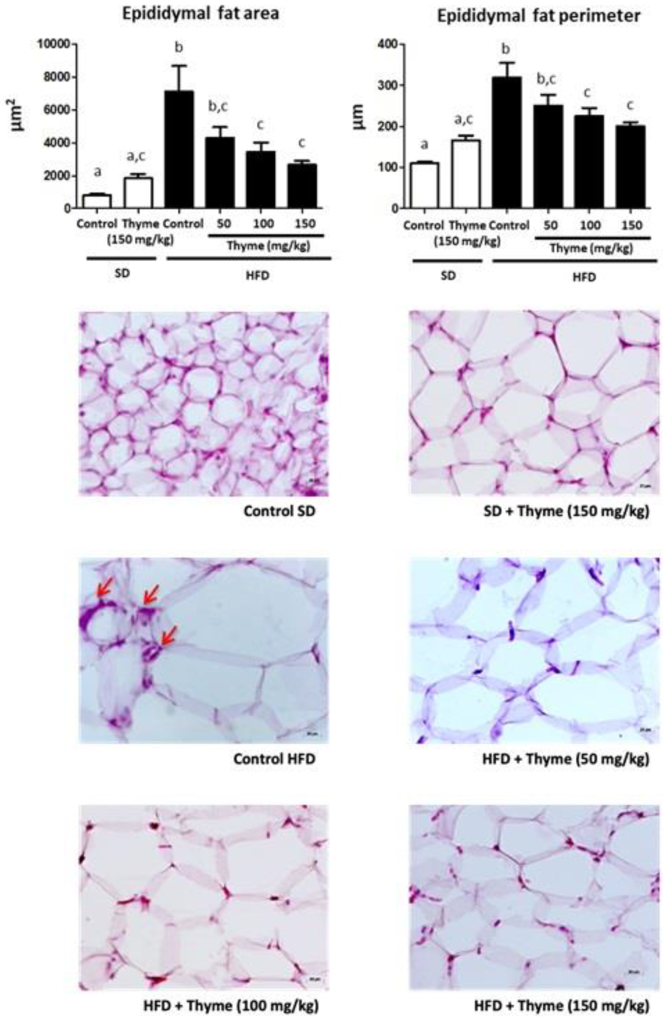 Antioxidants 11 01073 g003