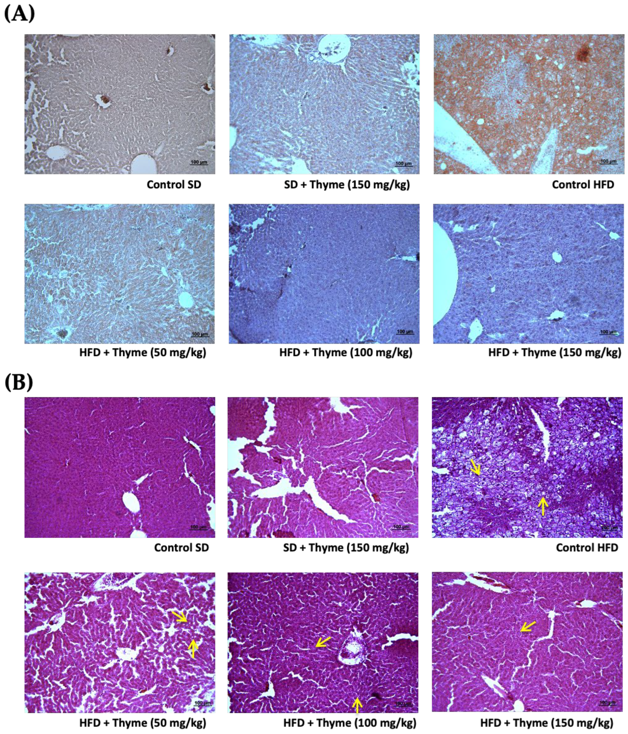 Antioxidants 11 01073 g004