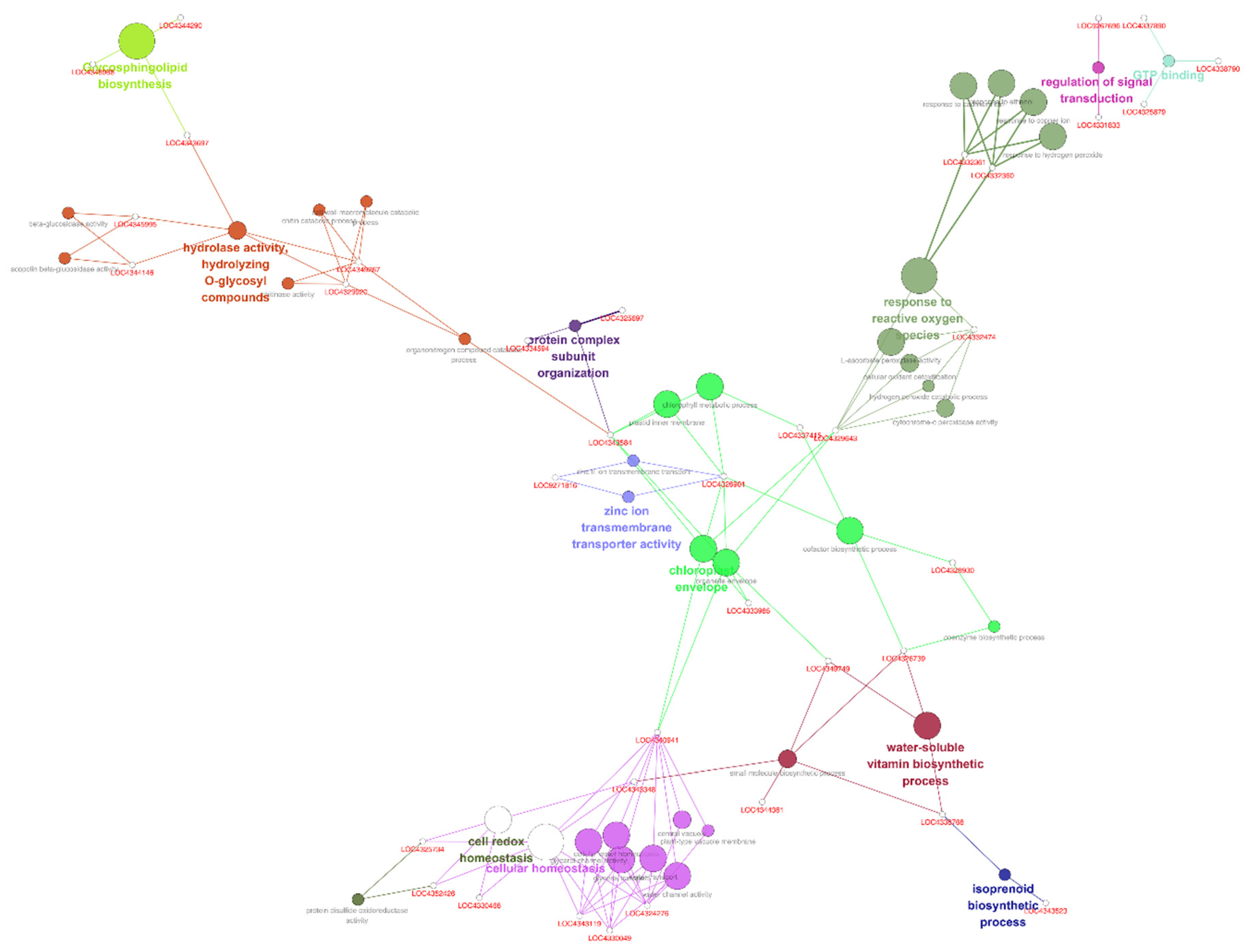 Antioxidants 11 01077 g005
