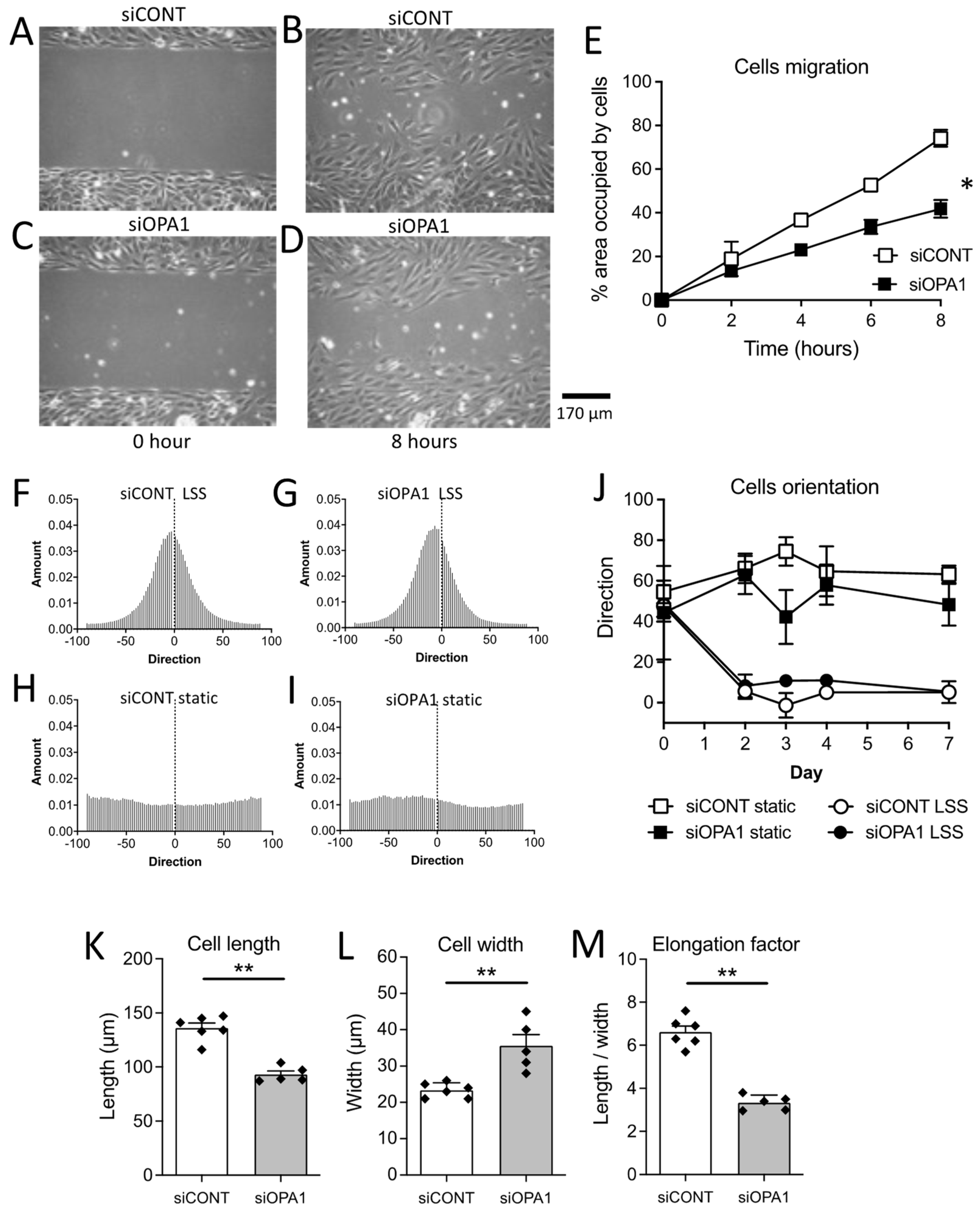 Antioxidants 11 01078 g001 Antioxidants 11 01078 g001
